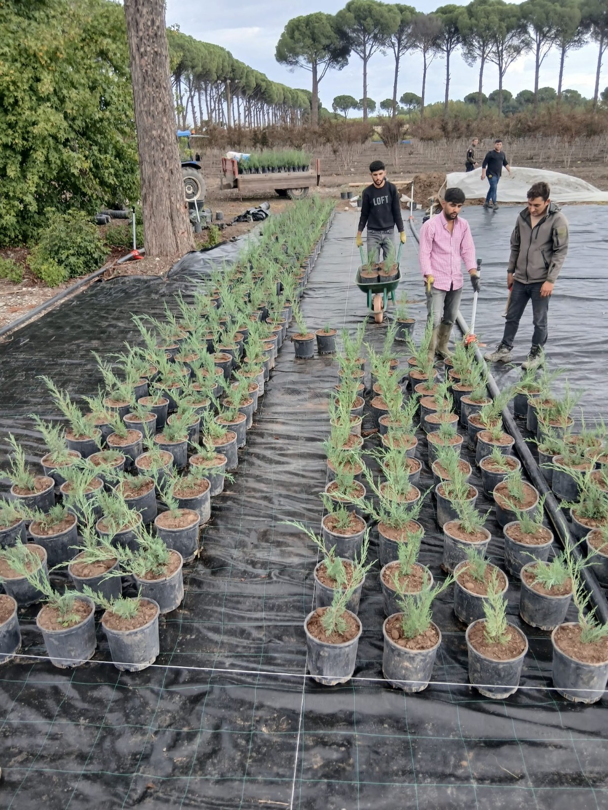 Whatsapp Image 2025 11 27 At 16.09.50