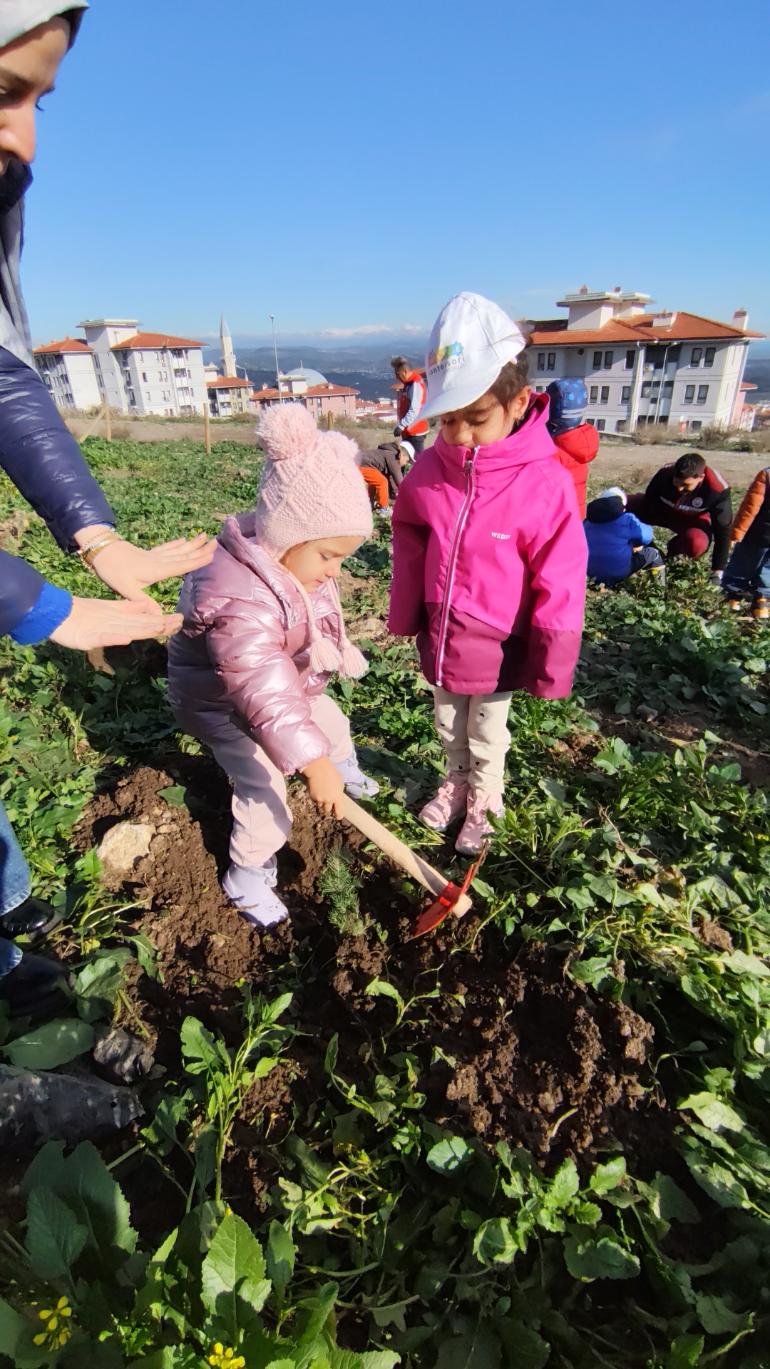 I M G 20251209 112303