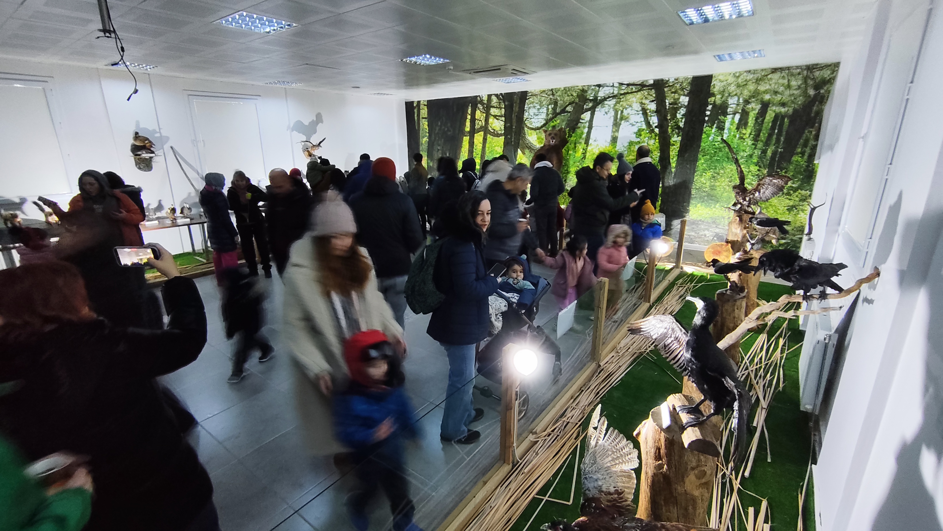 I M G 20251228 135215