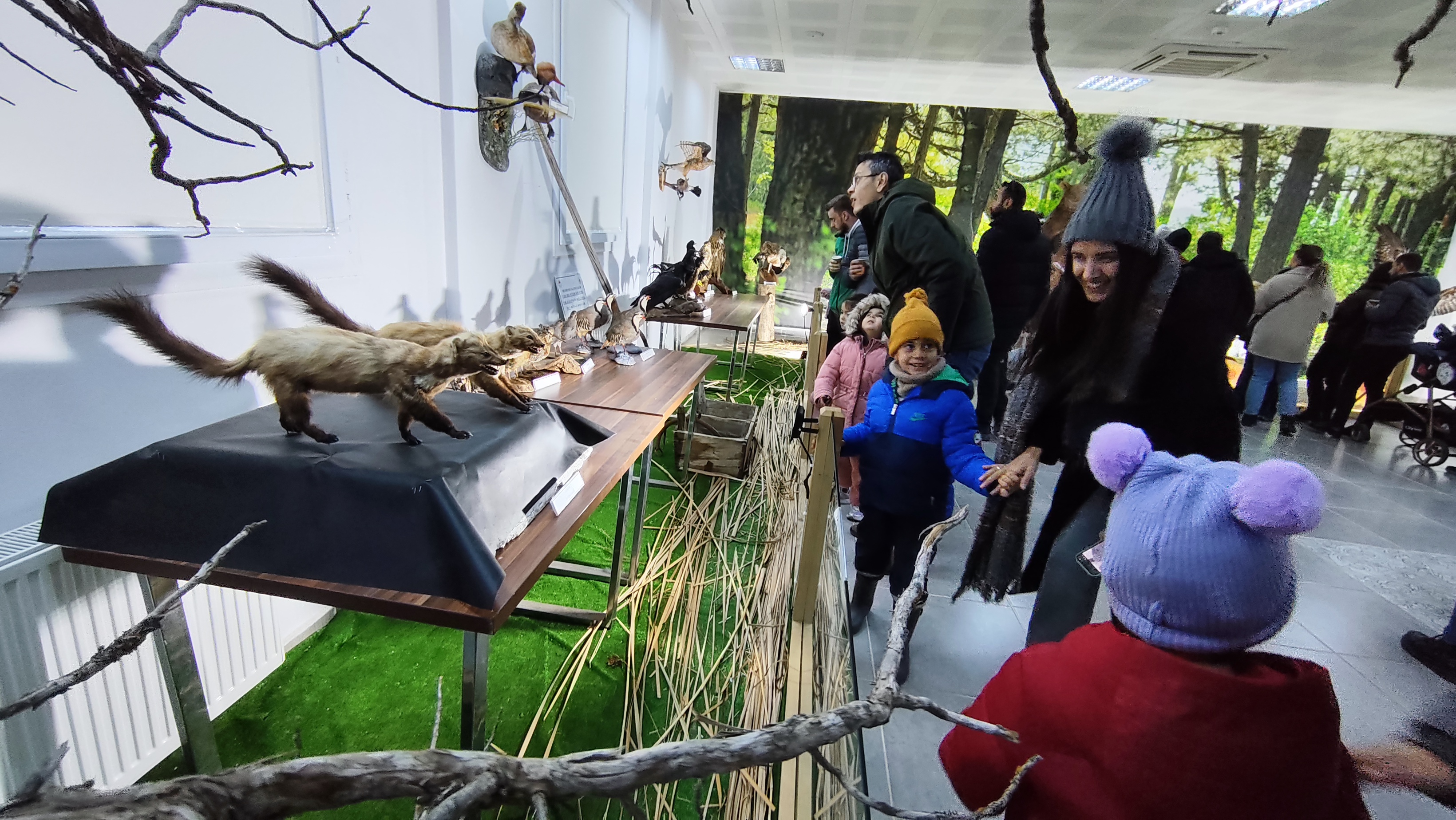 I M G 20251228 135548