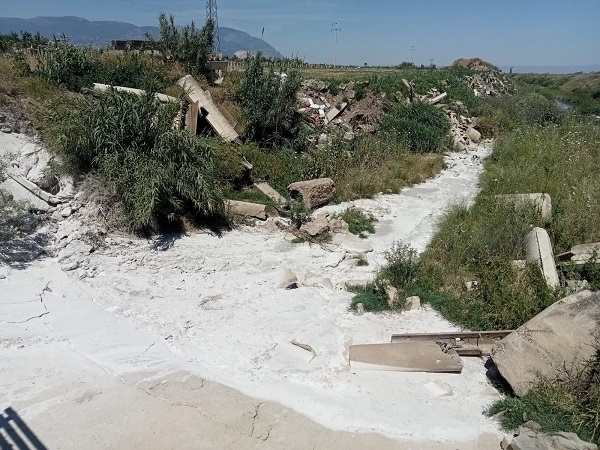 I M G 20260123 W A0004