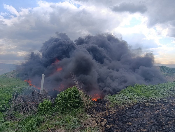 I M G 20260123 W A0006