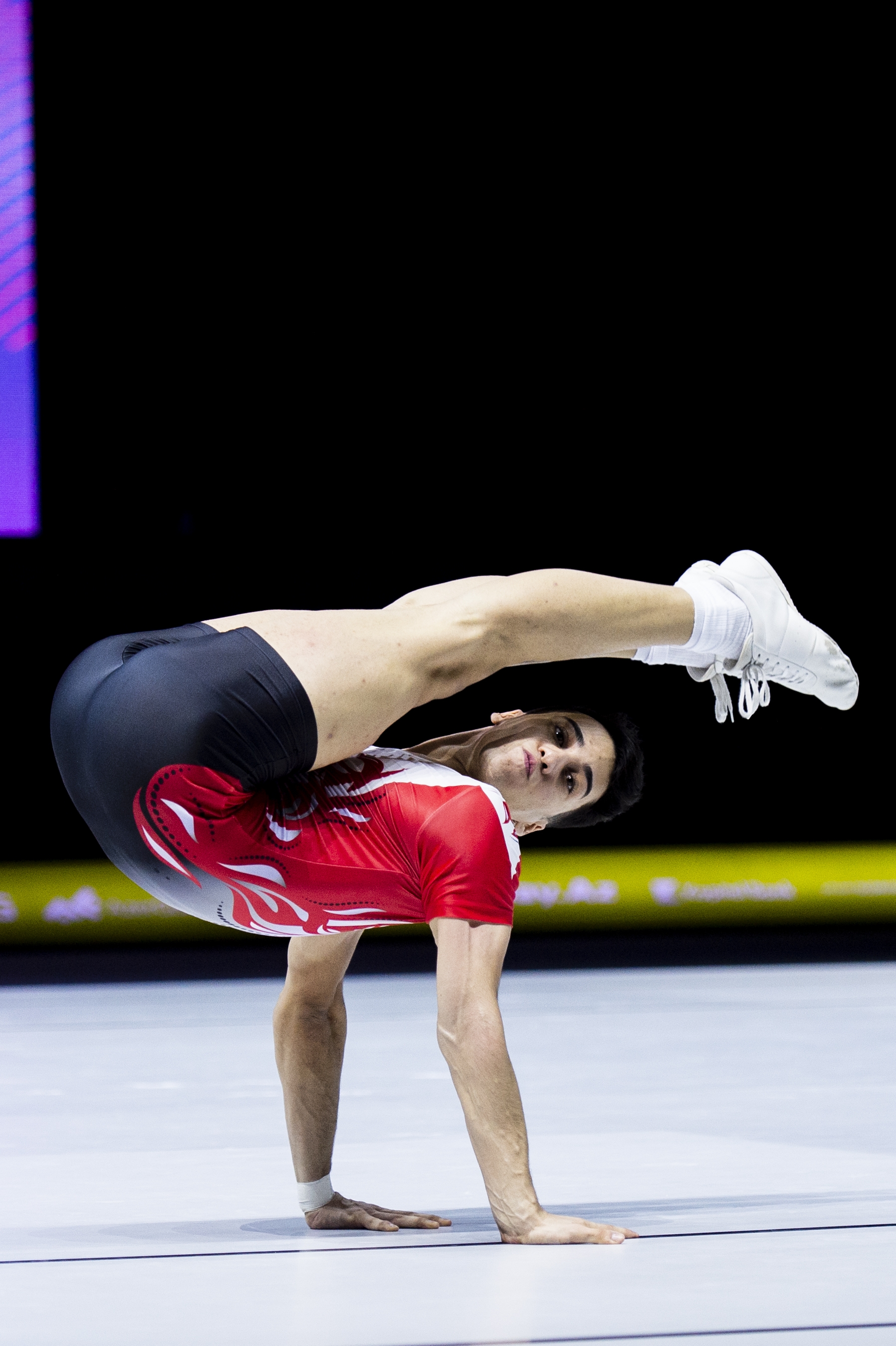 S A V E 20260126 085641