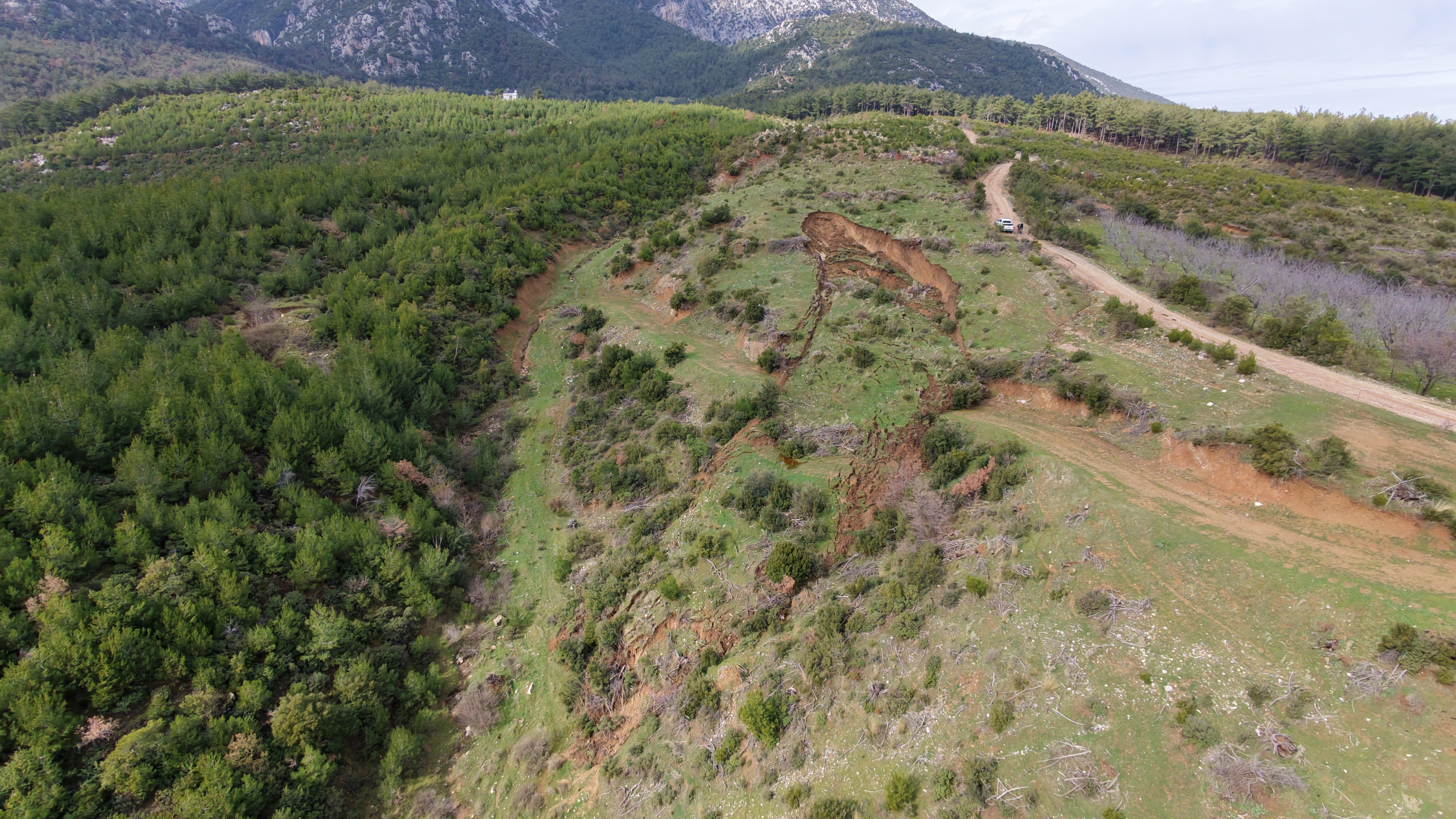 Dji Fly 20260209 130950 0069 1770633136531 Photo