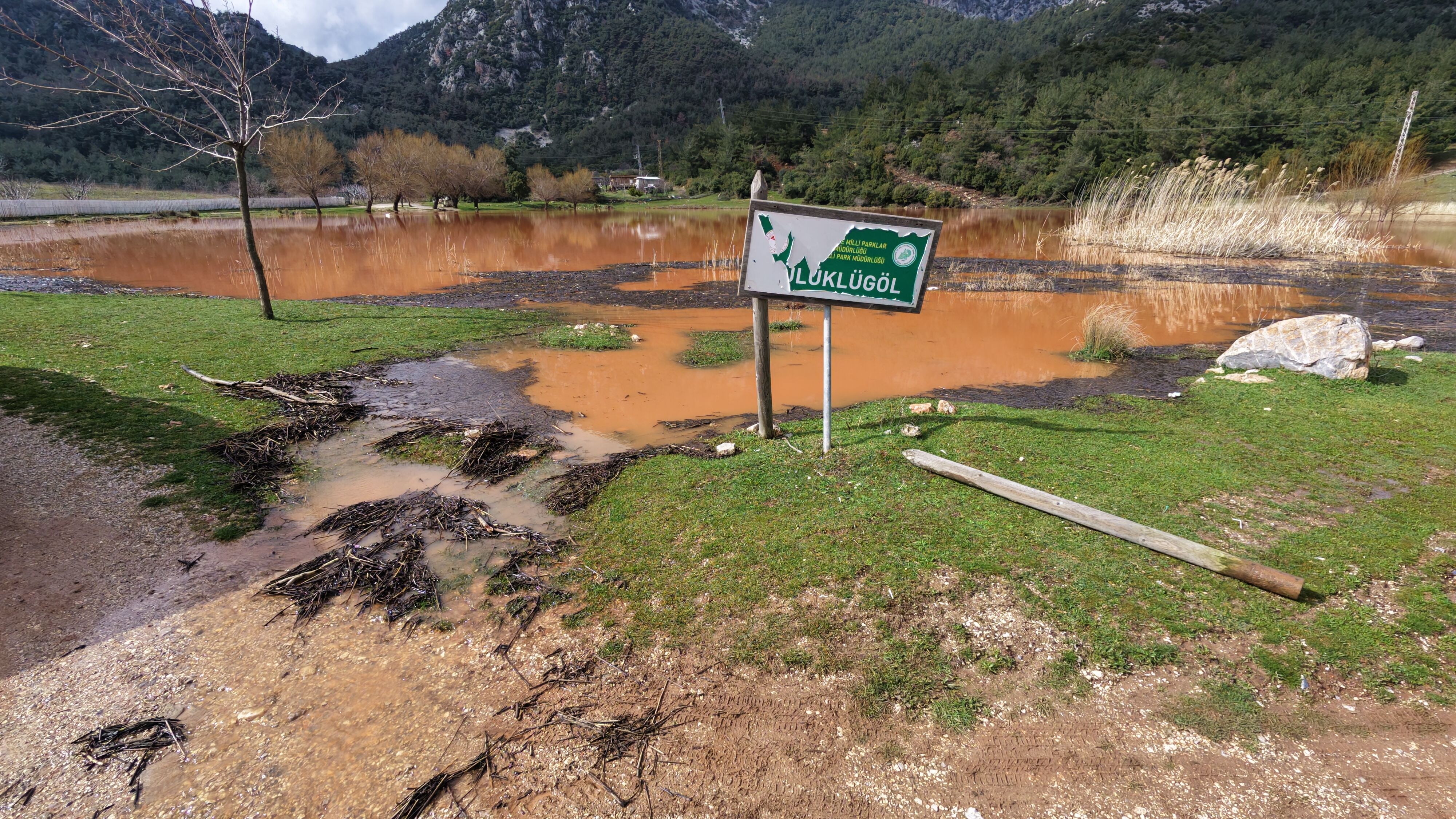 Dji Fly 20260209 131718 0075 1770633131990 Photo