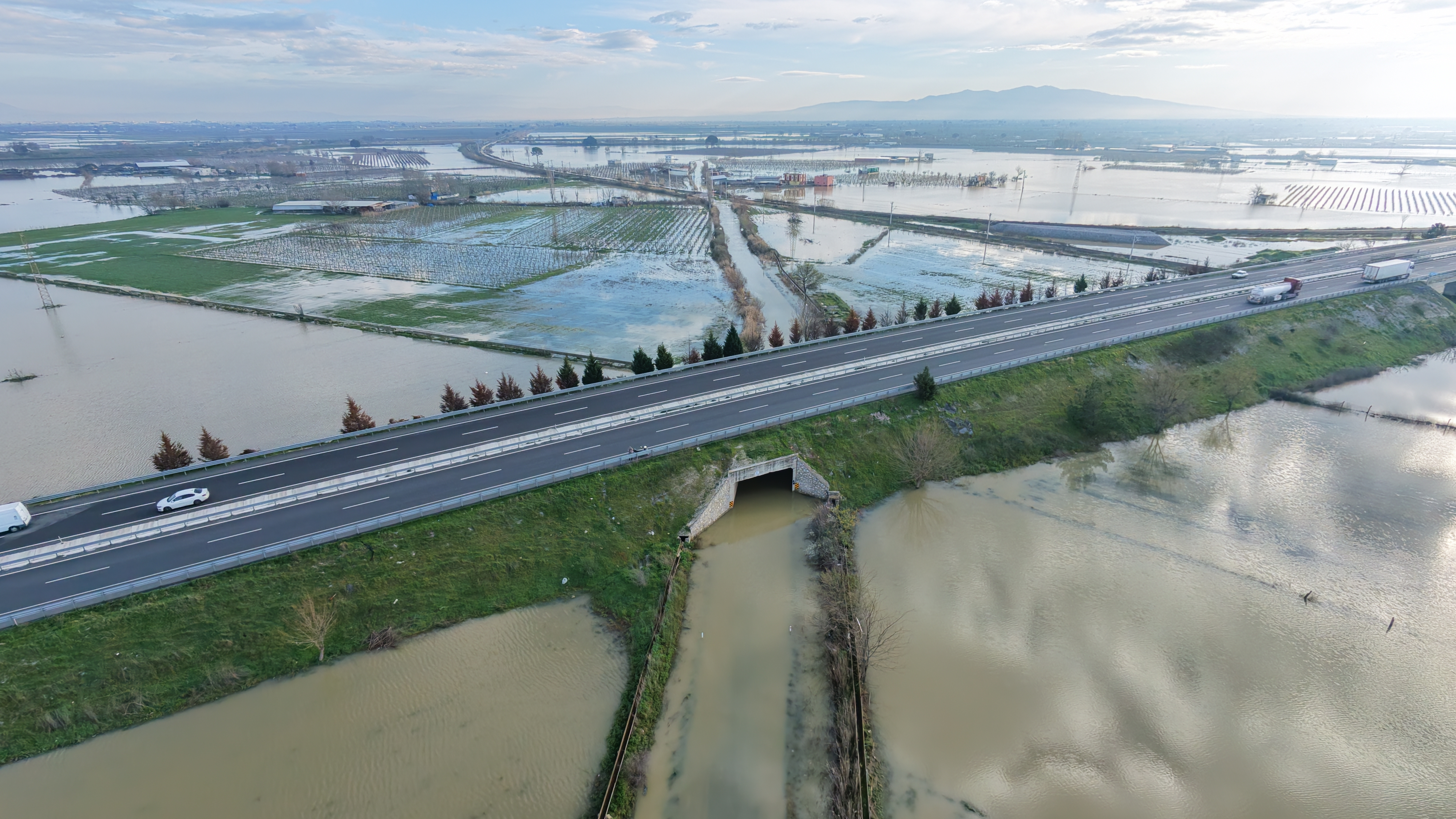 Dji Fly 20260220 094854 0235 1771576795202 Photo