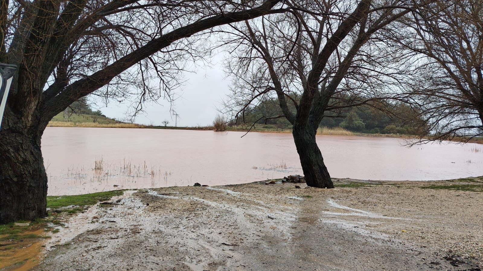 I M G 20260131 W A0044