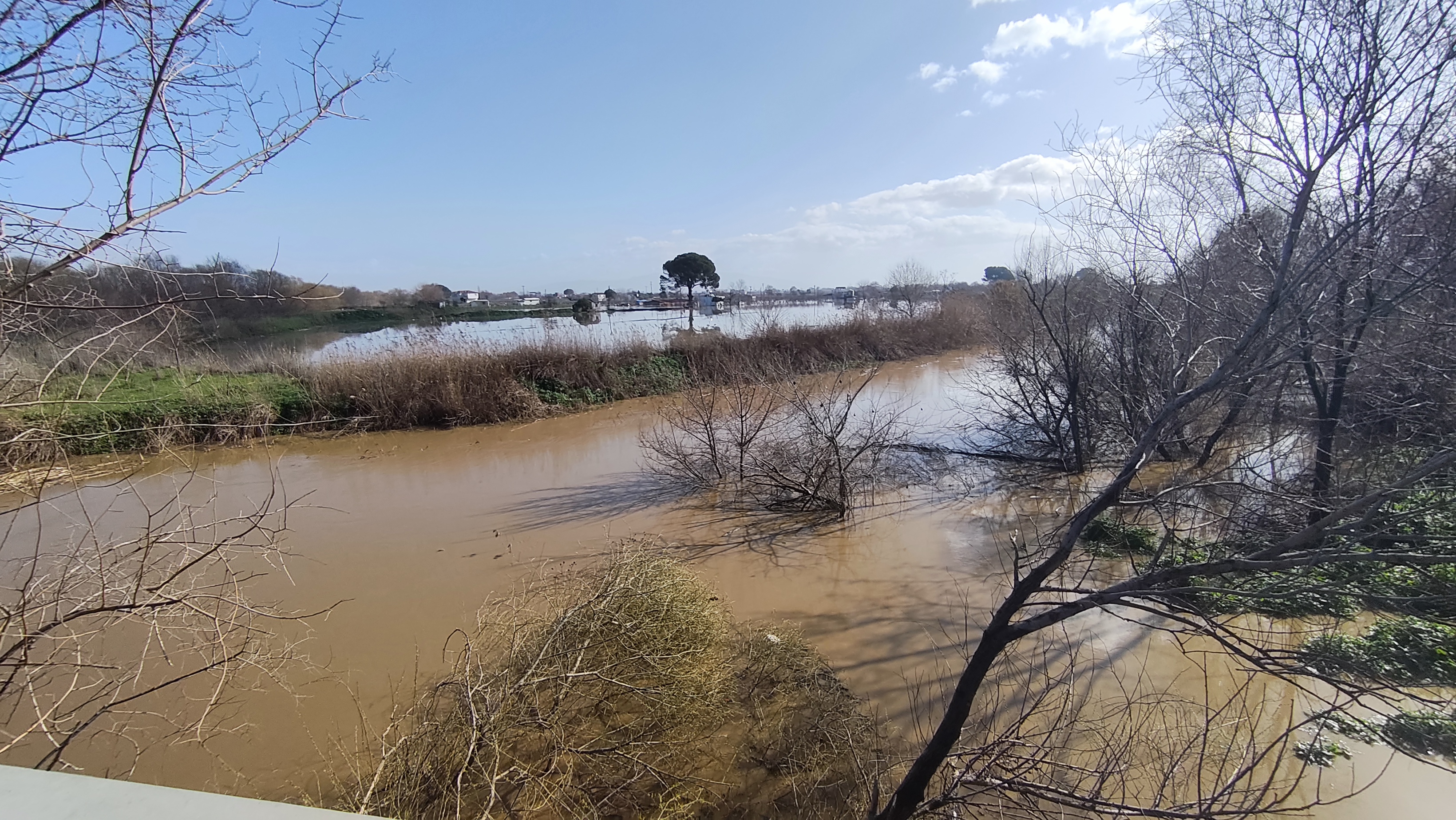 I M G 20260207 115637