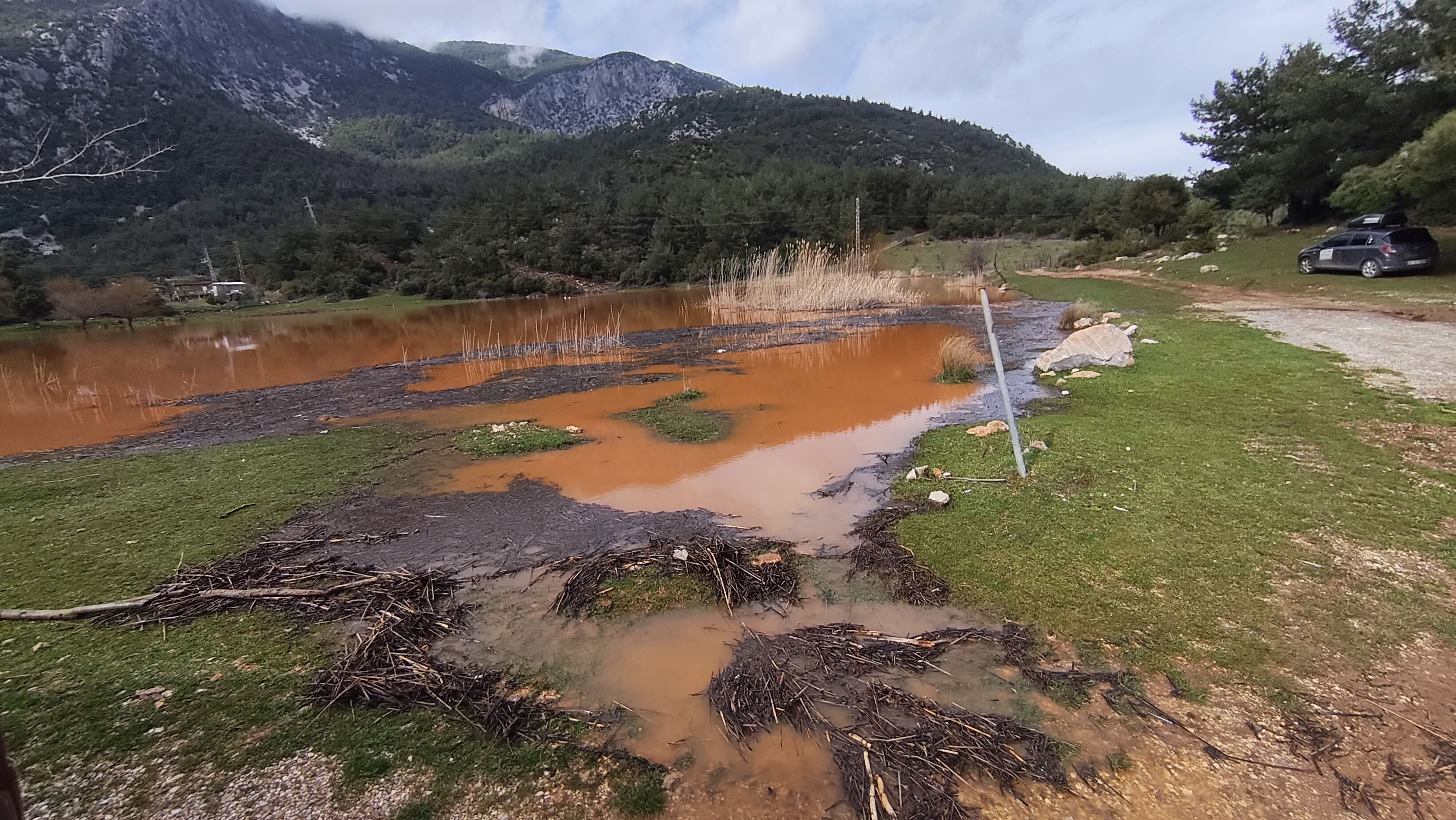 I M G 20260209 133001