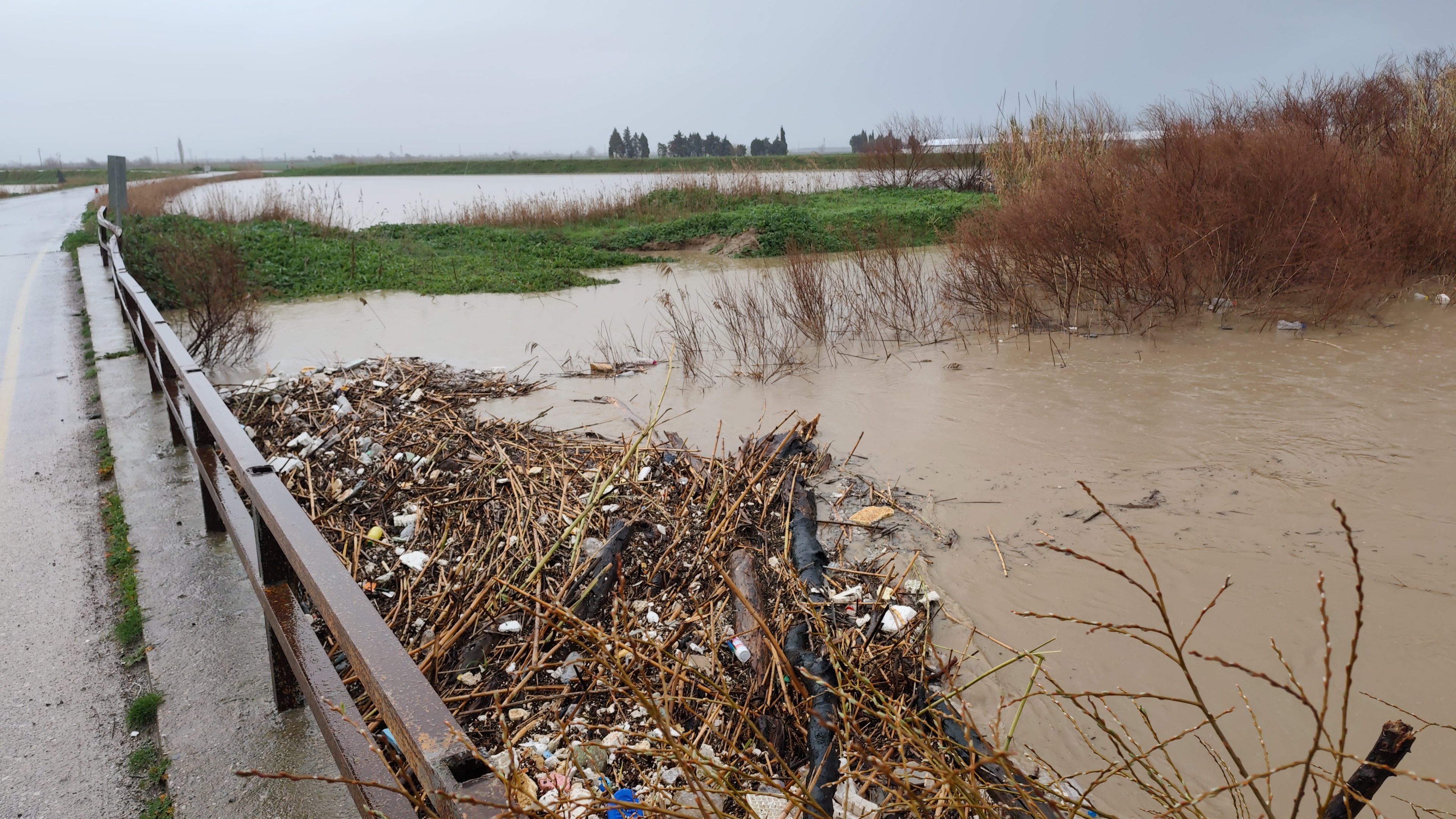 I M G 20260213 140455