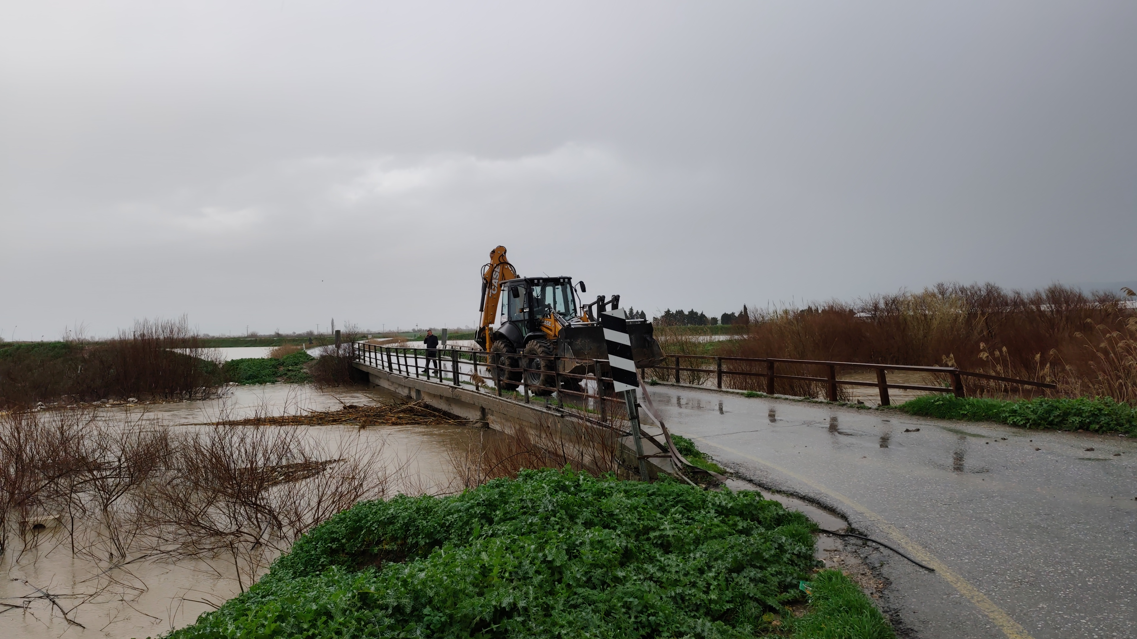 I M G 20260213 140601