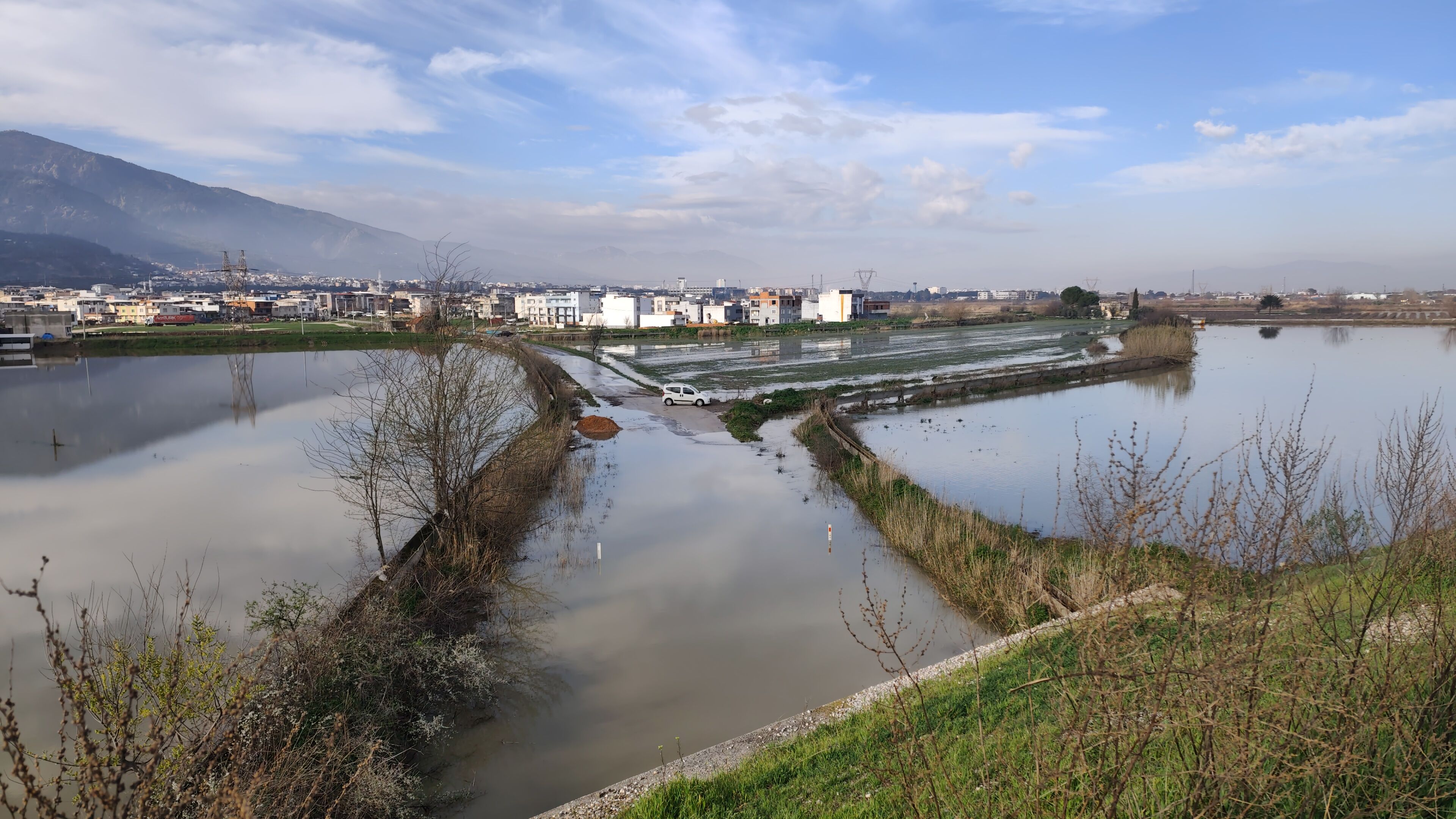 I M G 20260220 100420-1