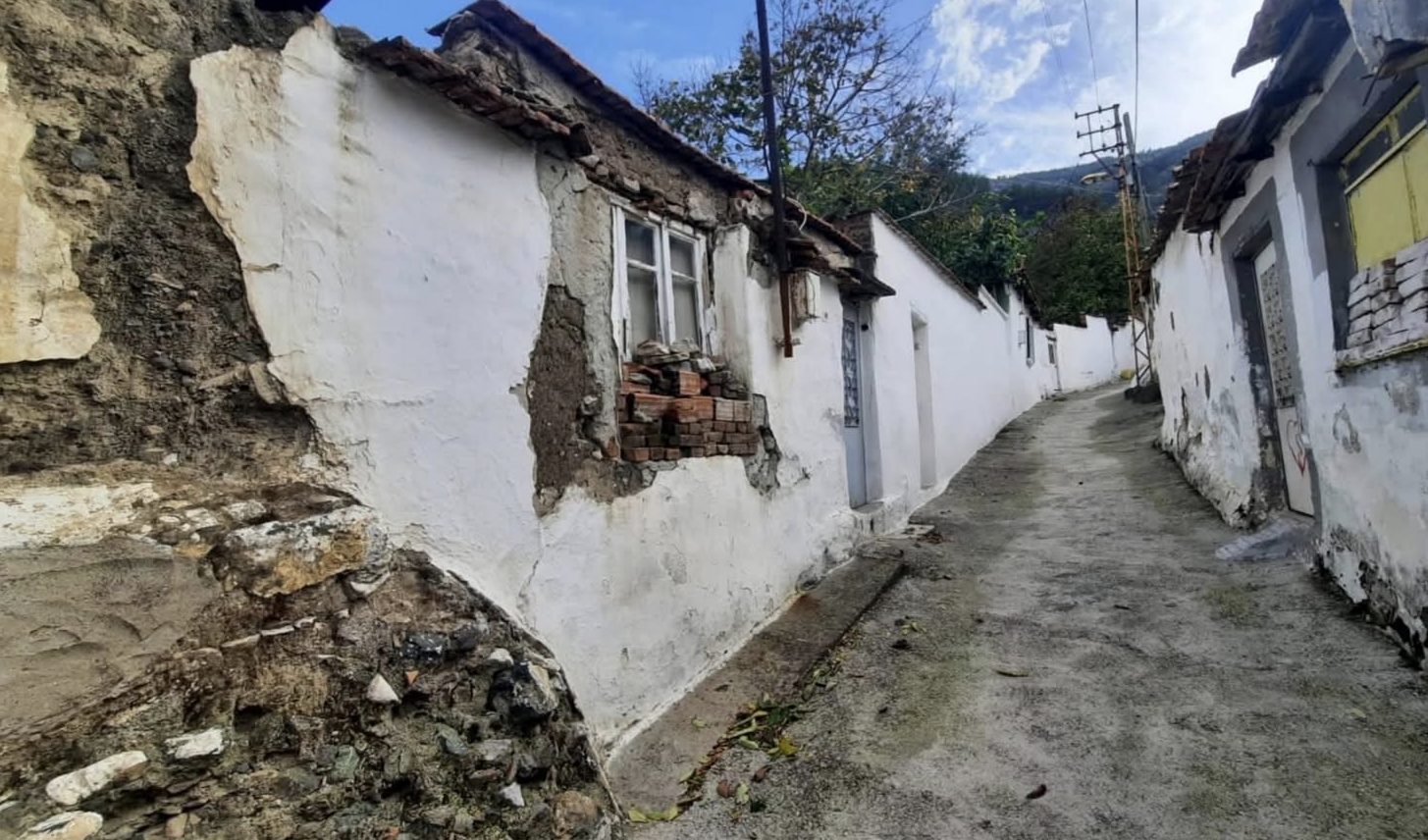 I M G 20260222 110743