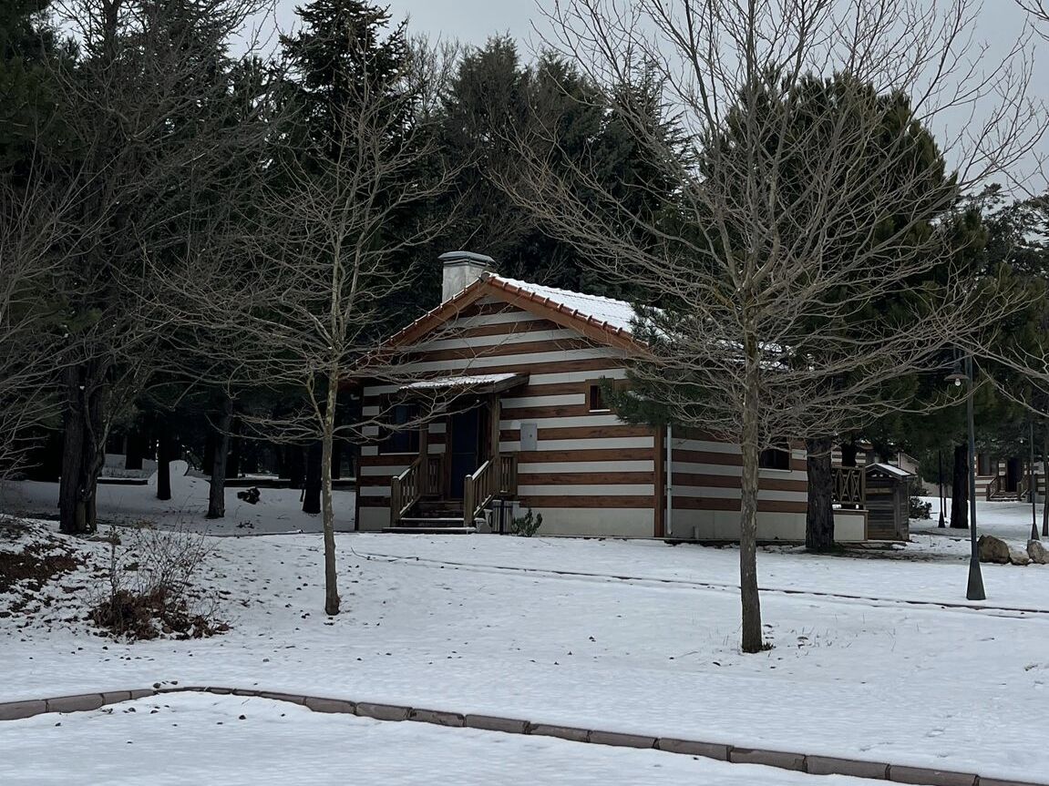 I M G 20260227 063143