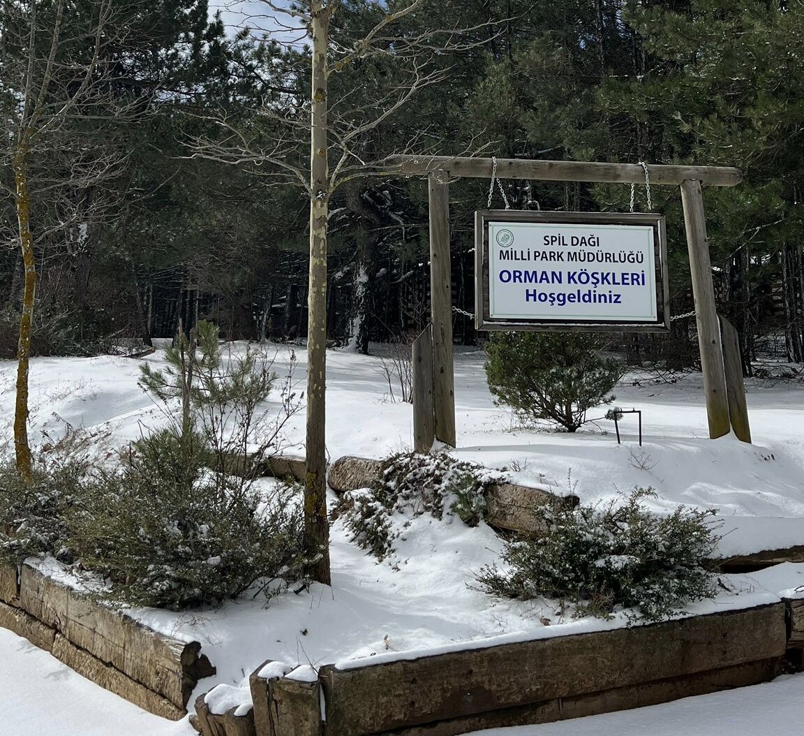 I M G 20260227 063306