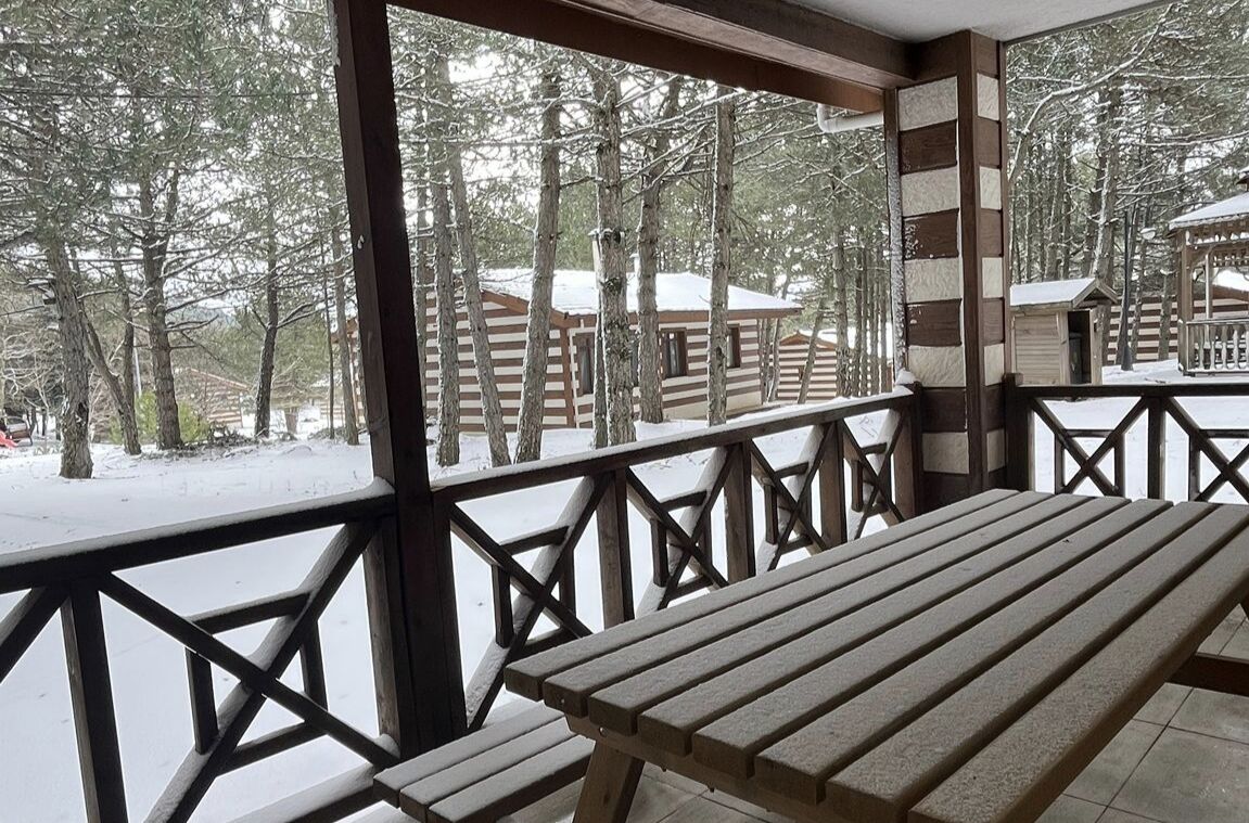 I M G 20260227 063329