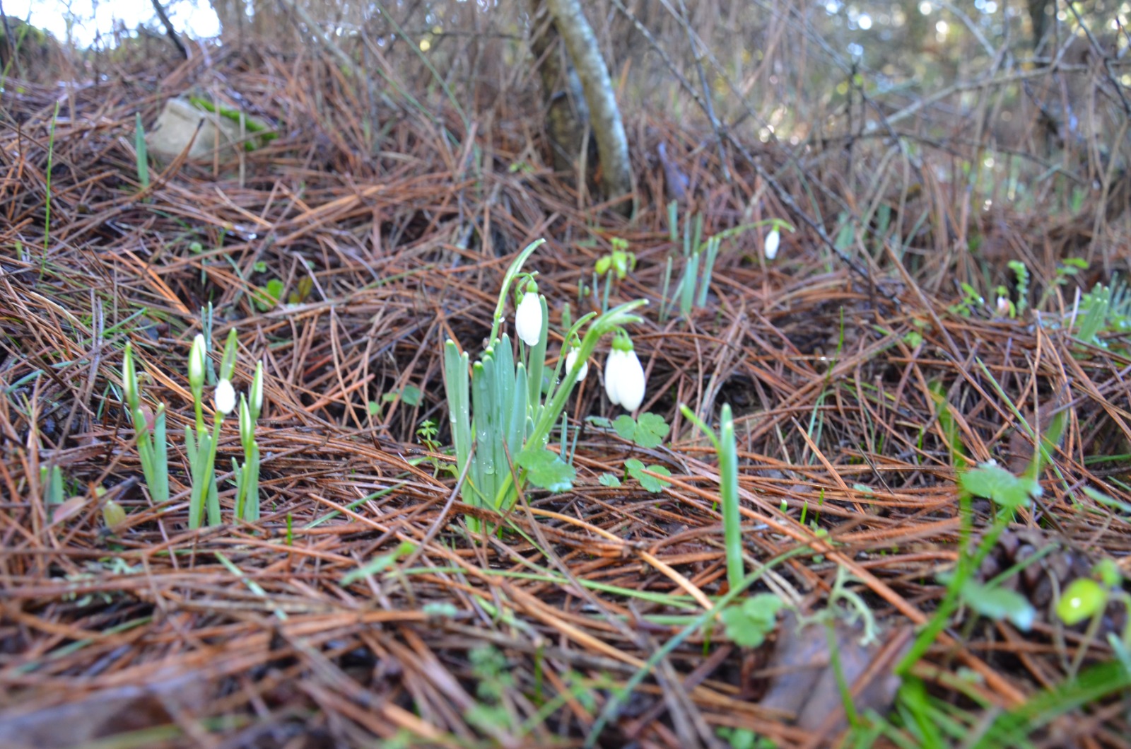 Whatsapp Image 2026 02 03 At 14.57.06