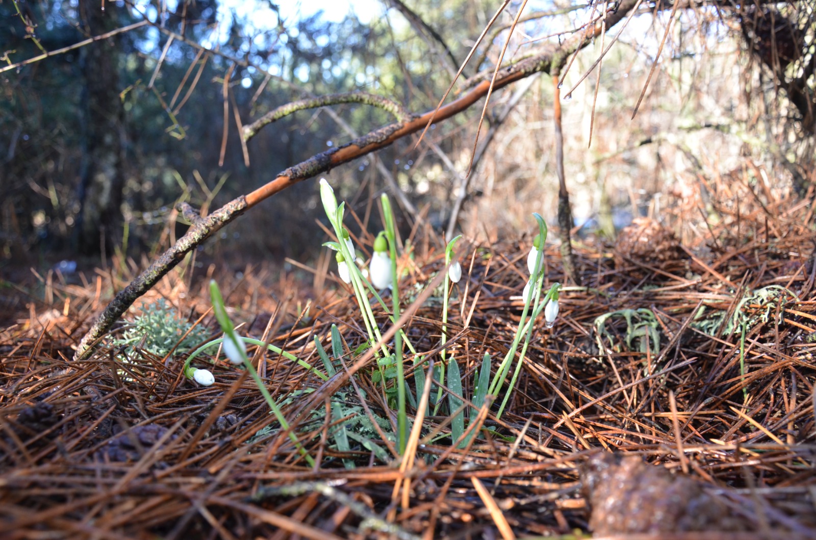 Whatsapp Image 2026 02 03 At 14.57.07