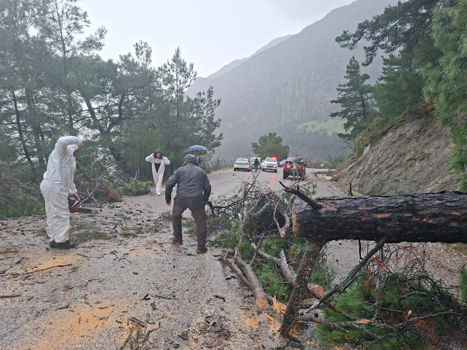 Whatsapp Image 2026 02 12 At 13.35.57