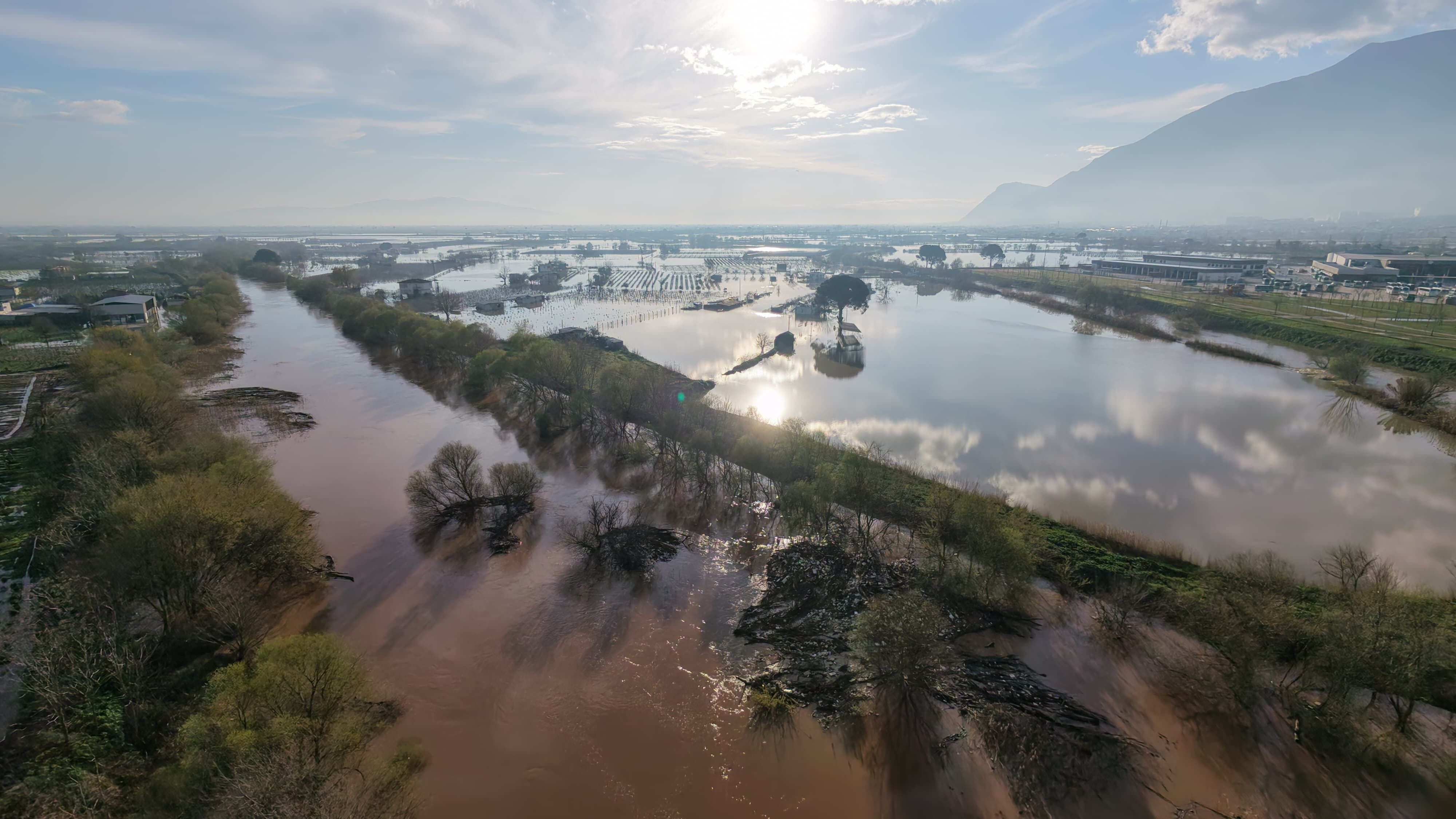 I M G 20260313 W A0028