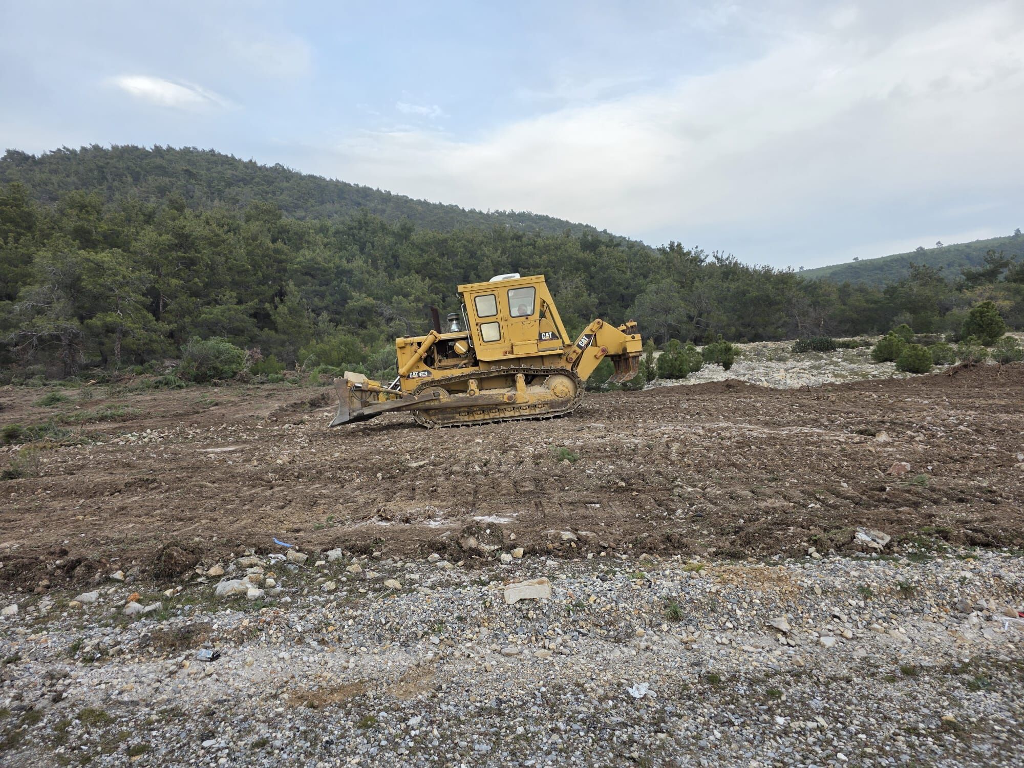 I M G 20260314 W A0029