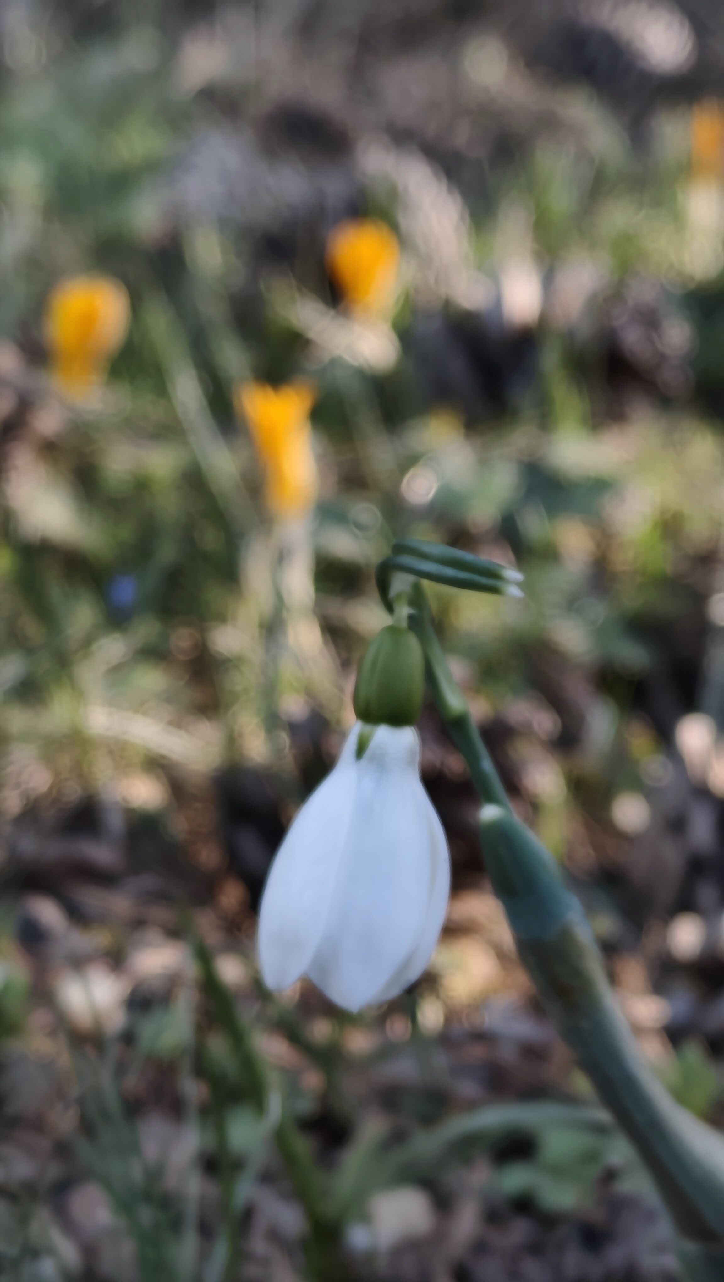 I M G 20260315 173915