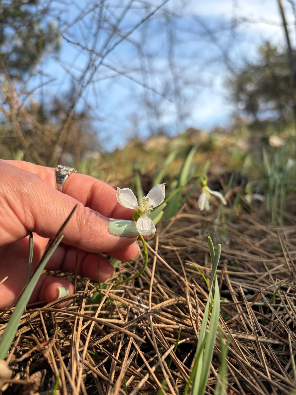 I M G 20260315 W A0039