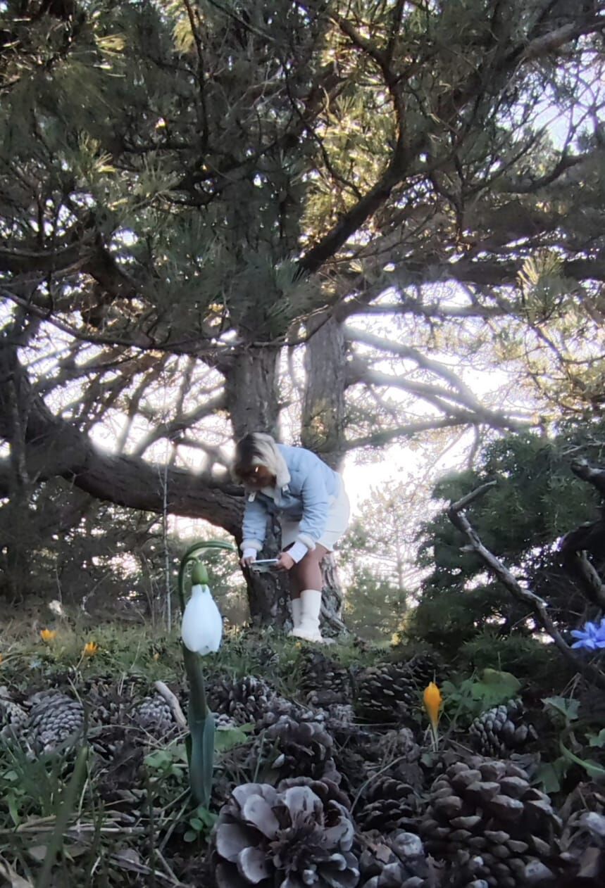 I M G 20260317 W A0003