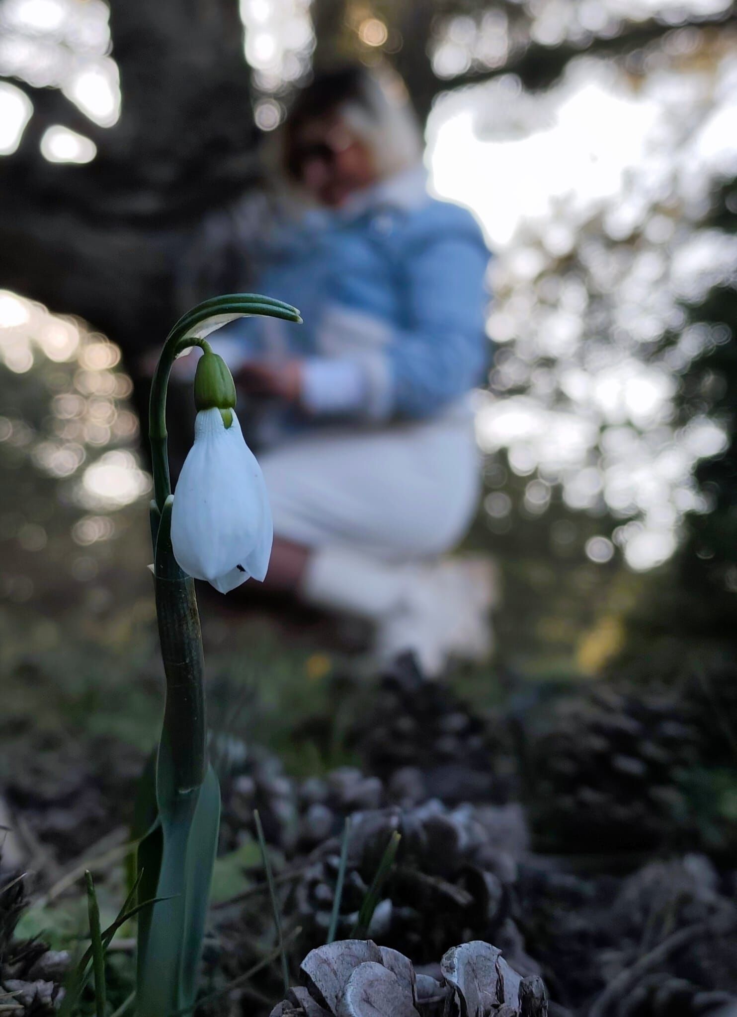 I M G 20260317 W A0005