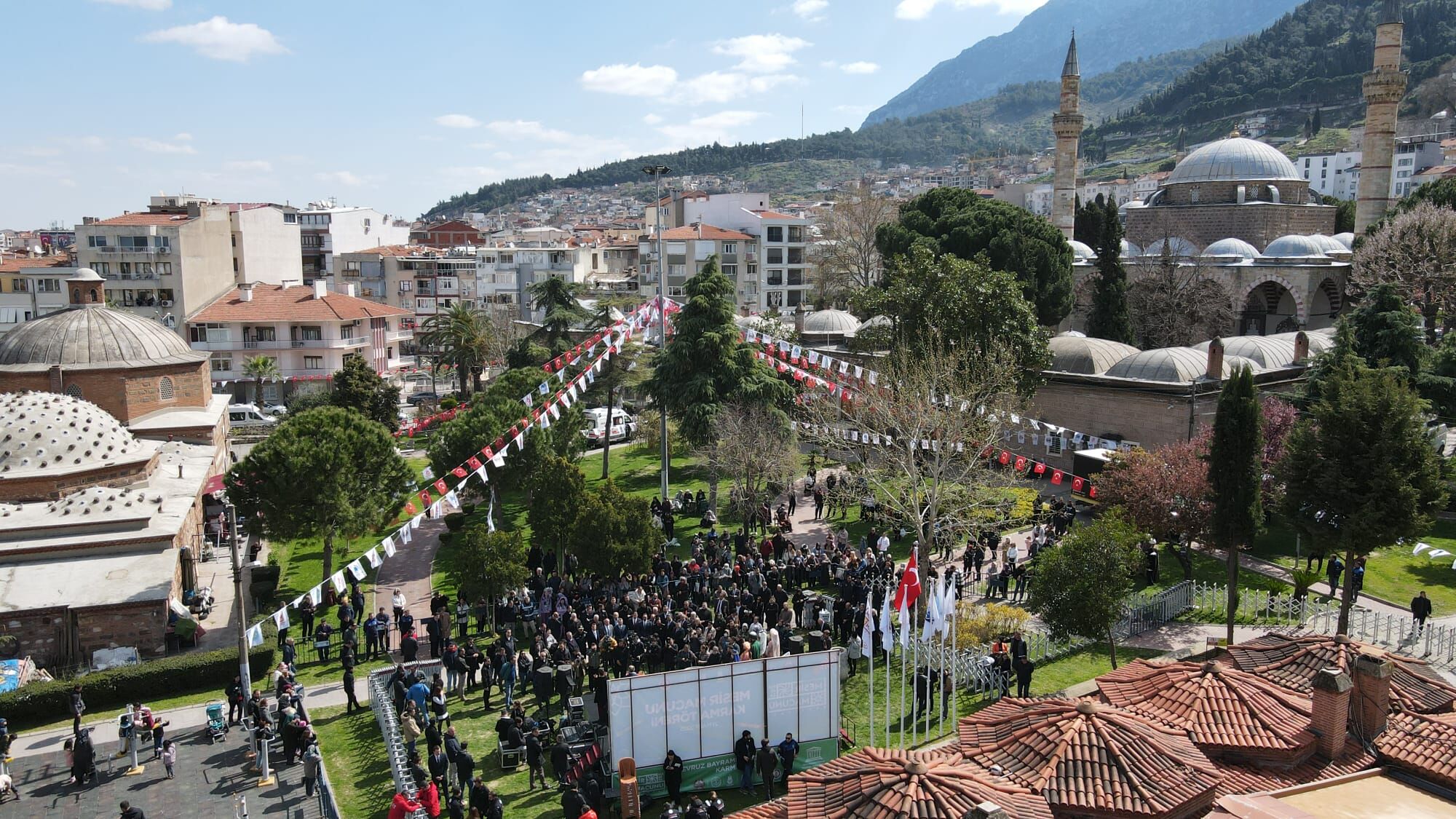 I M G 20260319 W A0007