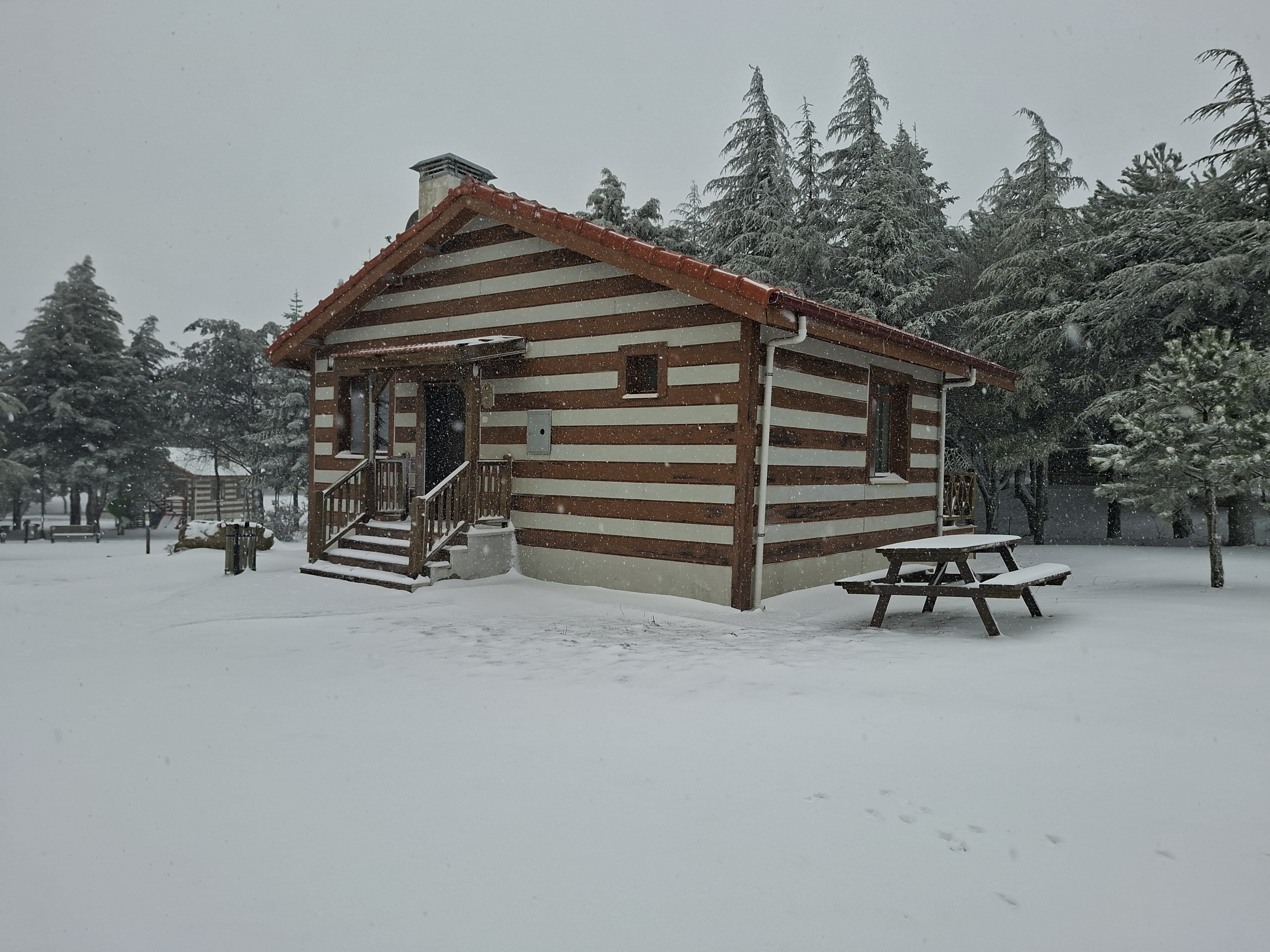 I M G 20260320 W A0052-1