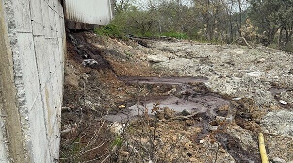 Whatsapp Image 2026 01 21 At 17.16.33-1