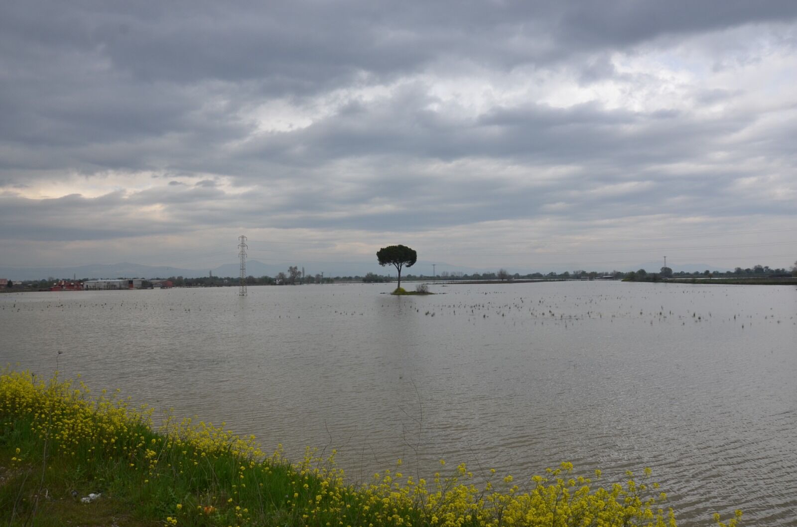 I M G 20260407 W A0002