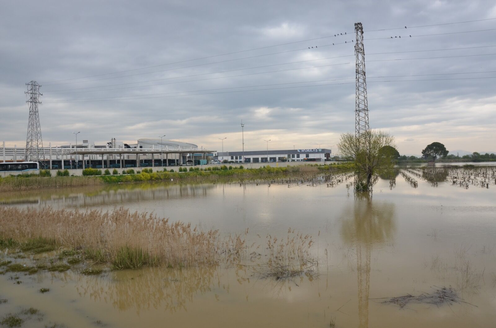 I M G 20260407 W A0003