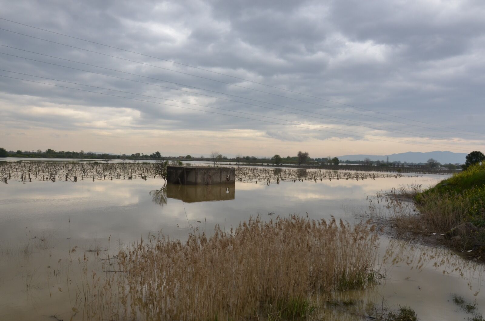 I M G 20260407 W A0005