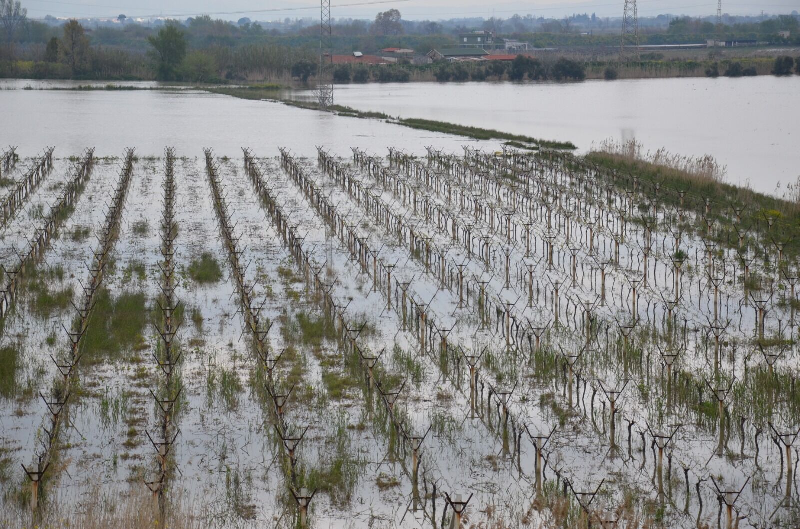 I M G 20260407 W A0007