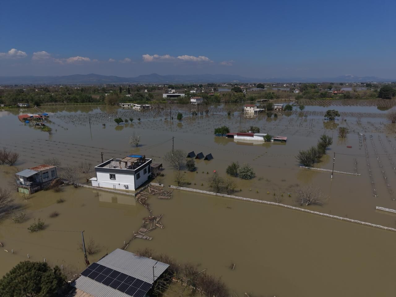 I M G 20260407 W A0008