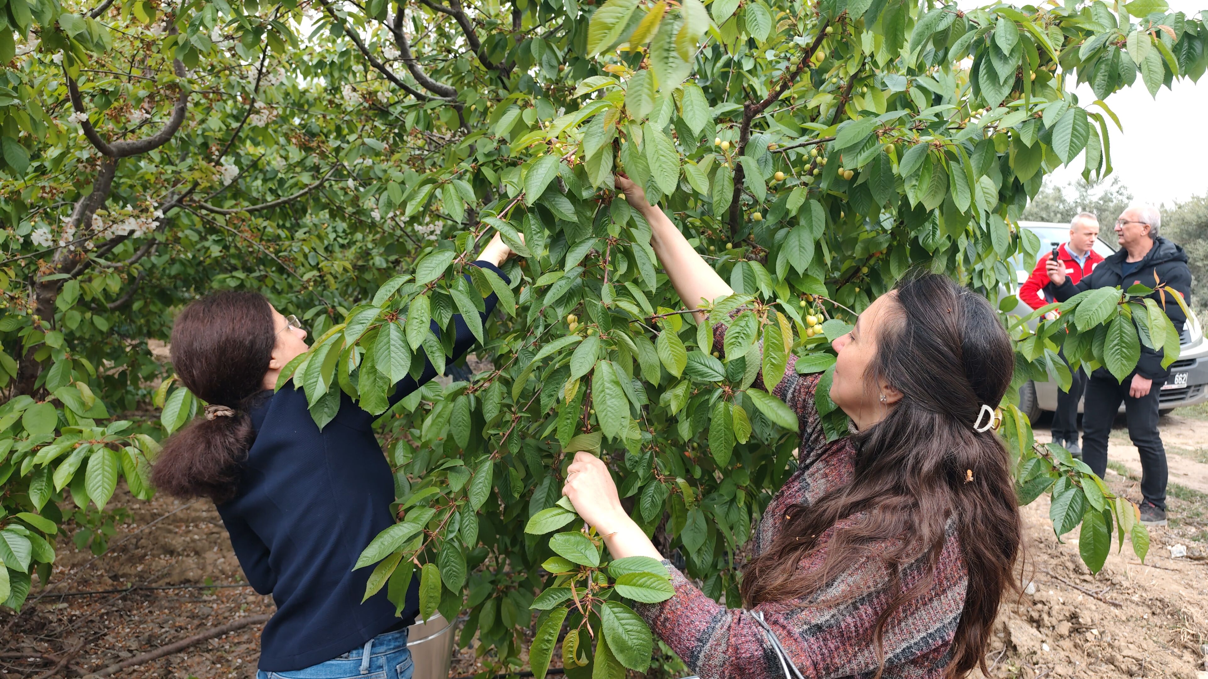 I M G 20260417 105825