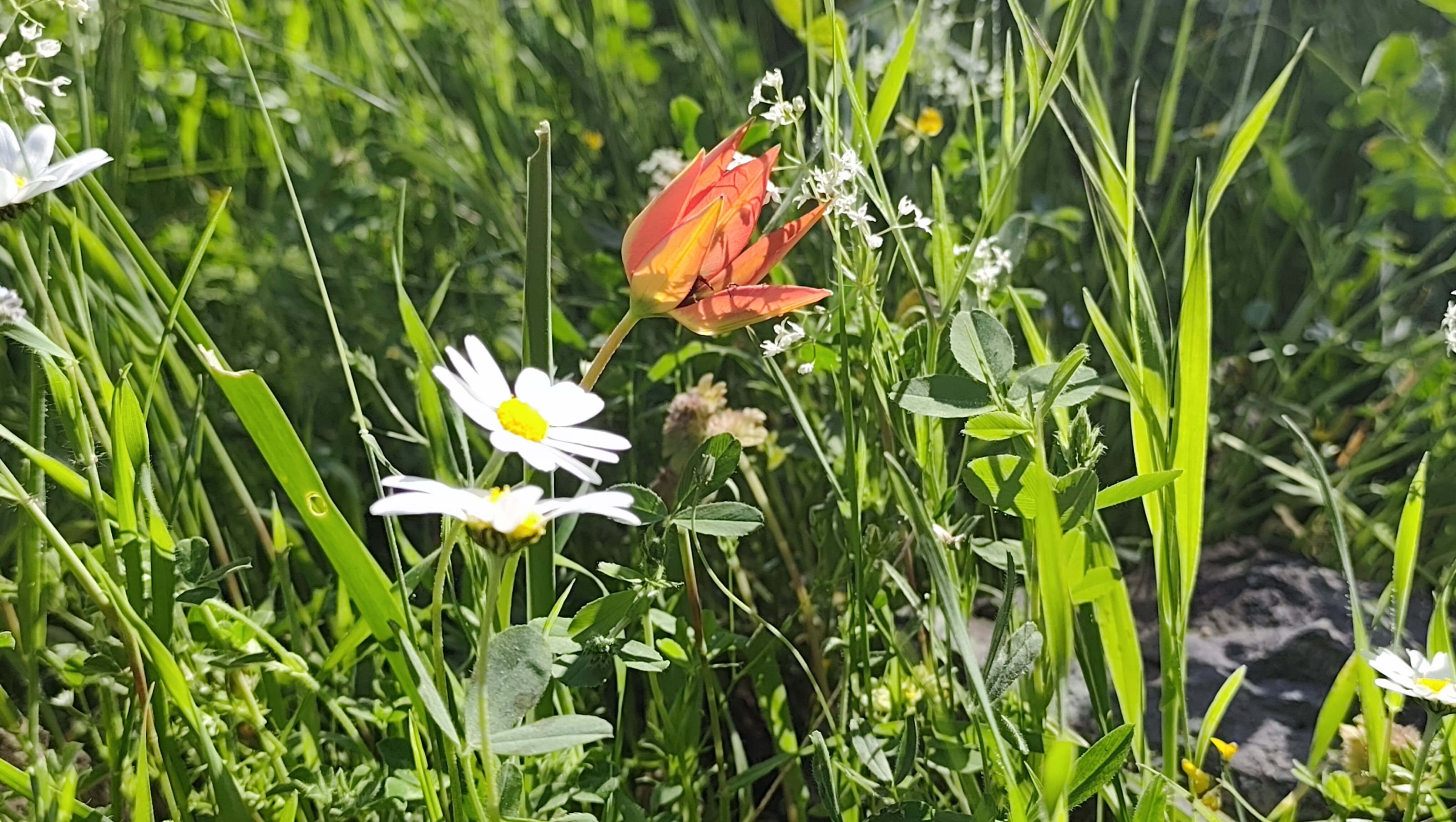 I M G 20260426 161853