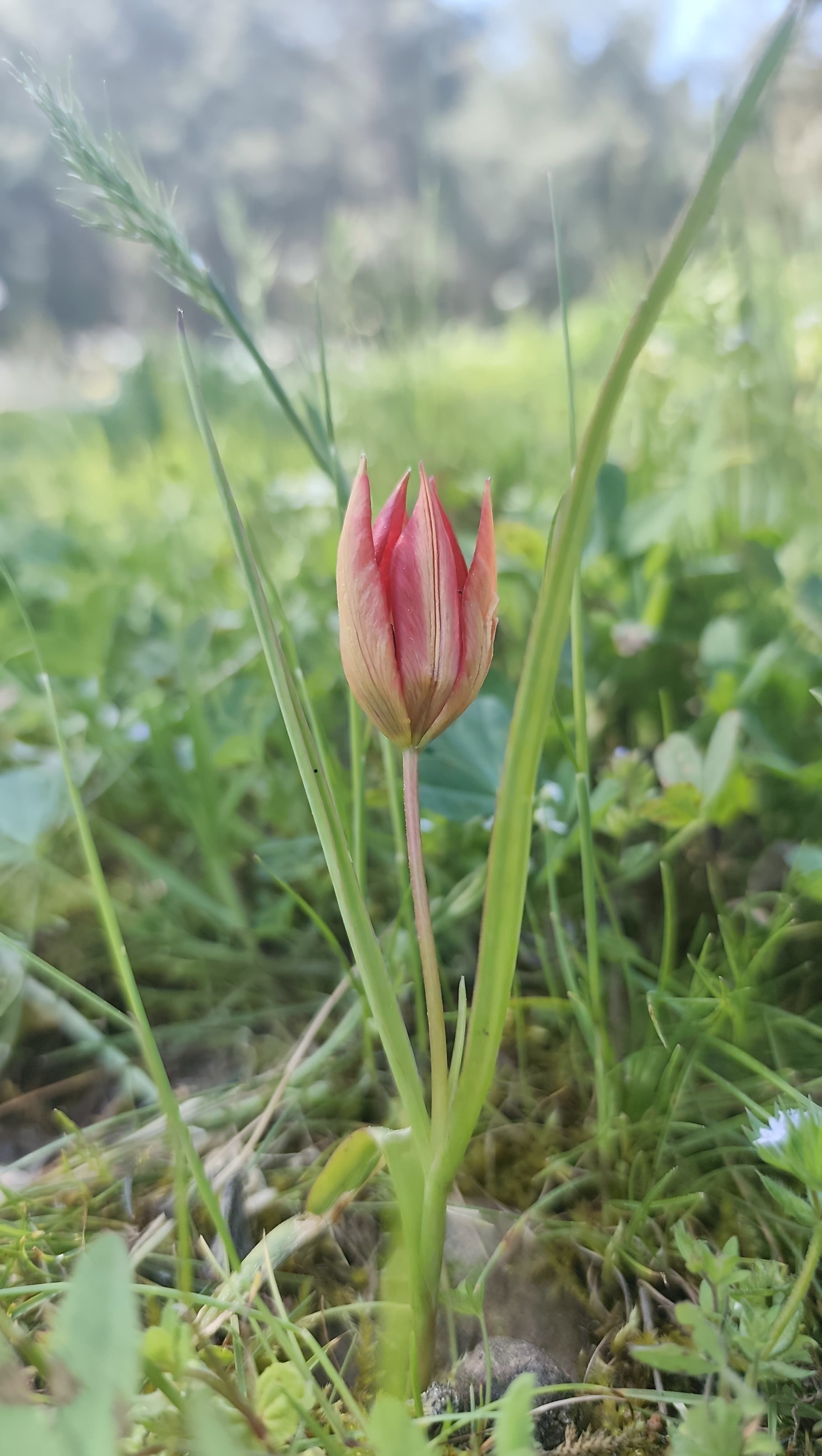 I M G 20260427 W A0045