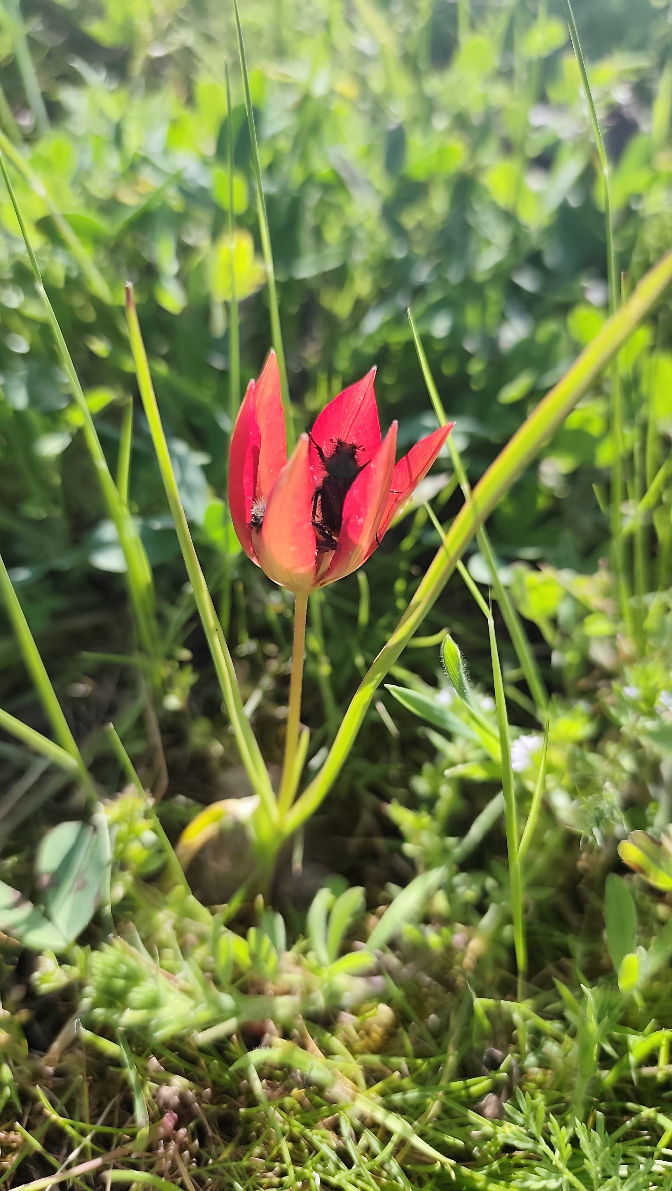 I M G 20260427 W A0046