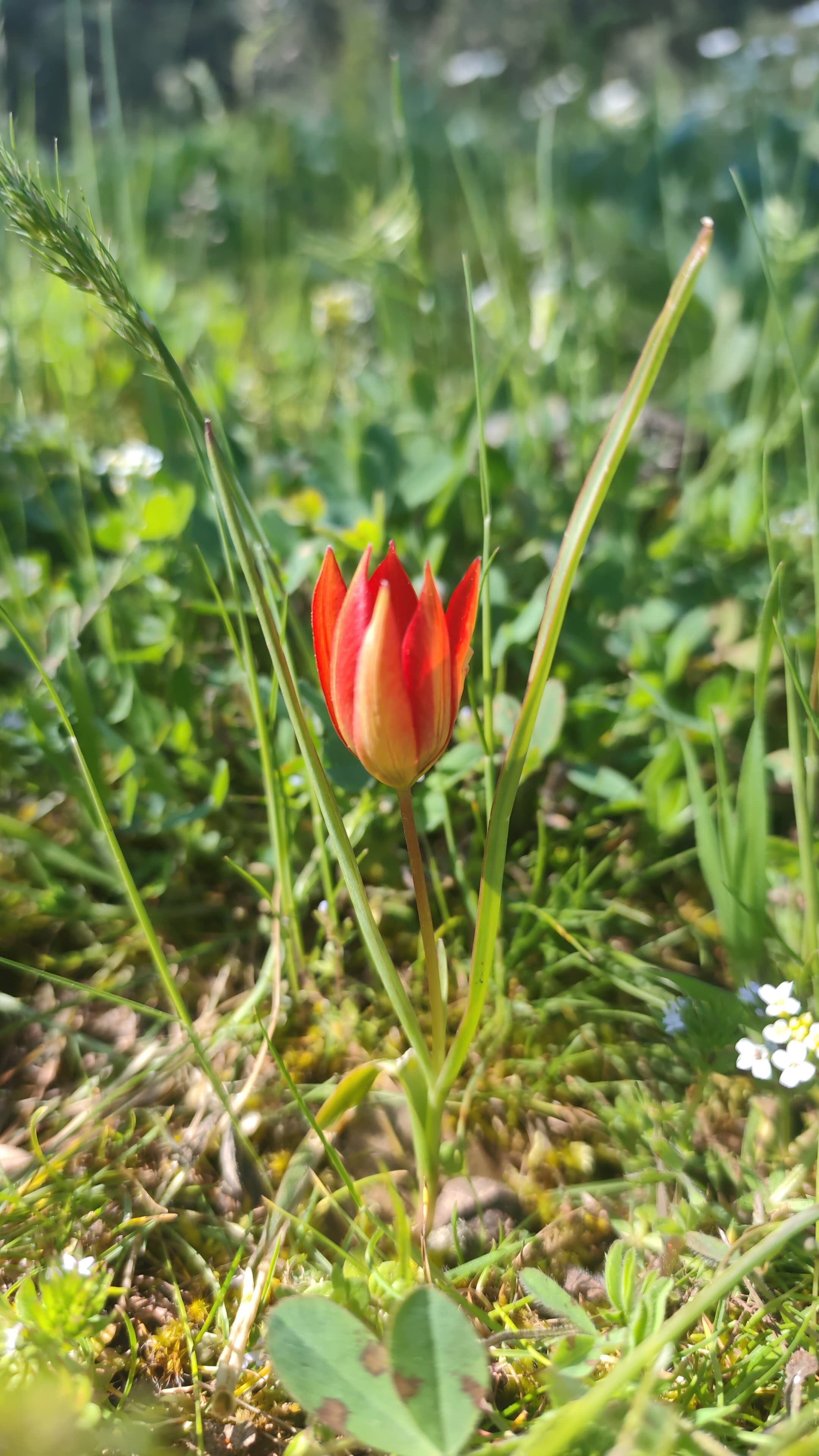 I M G 20260427 W A0048