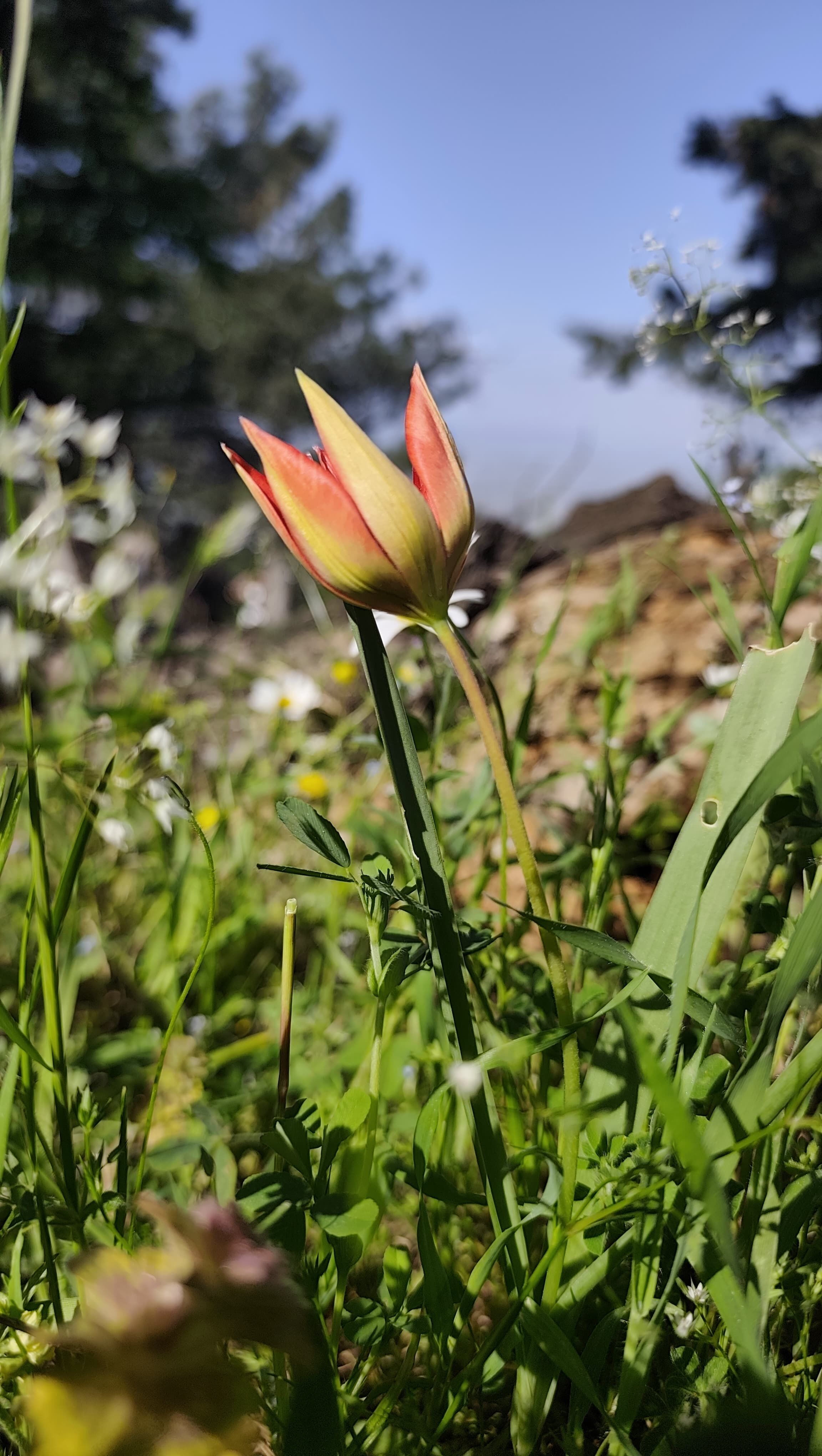 I M G 20260427 W A0050