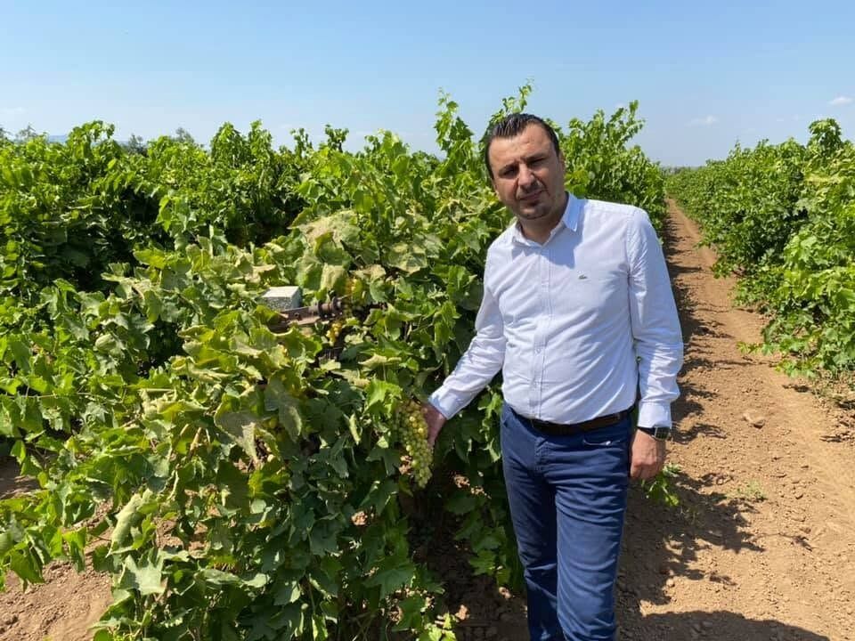 Üzüm