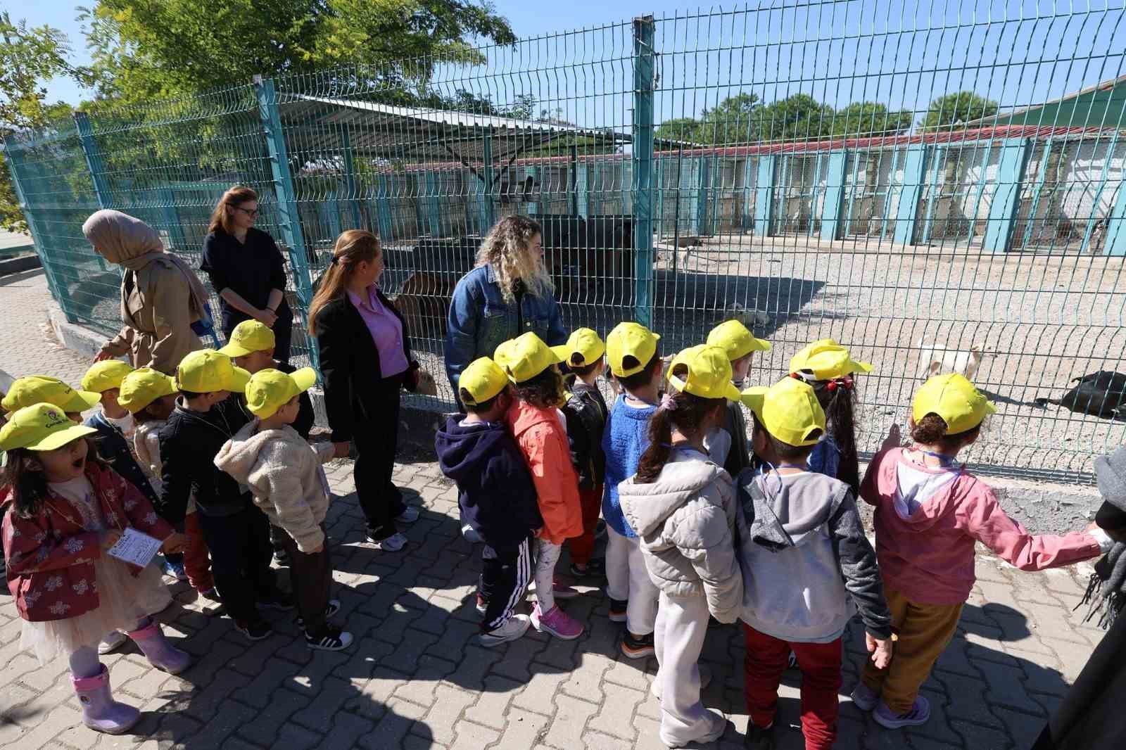 Minikler bakımevindeki hayvanlarla buluştu