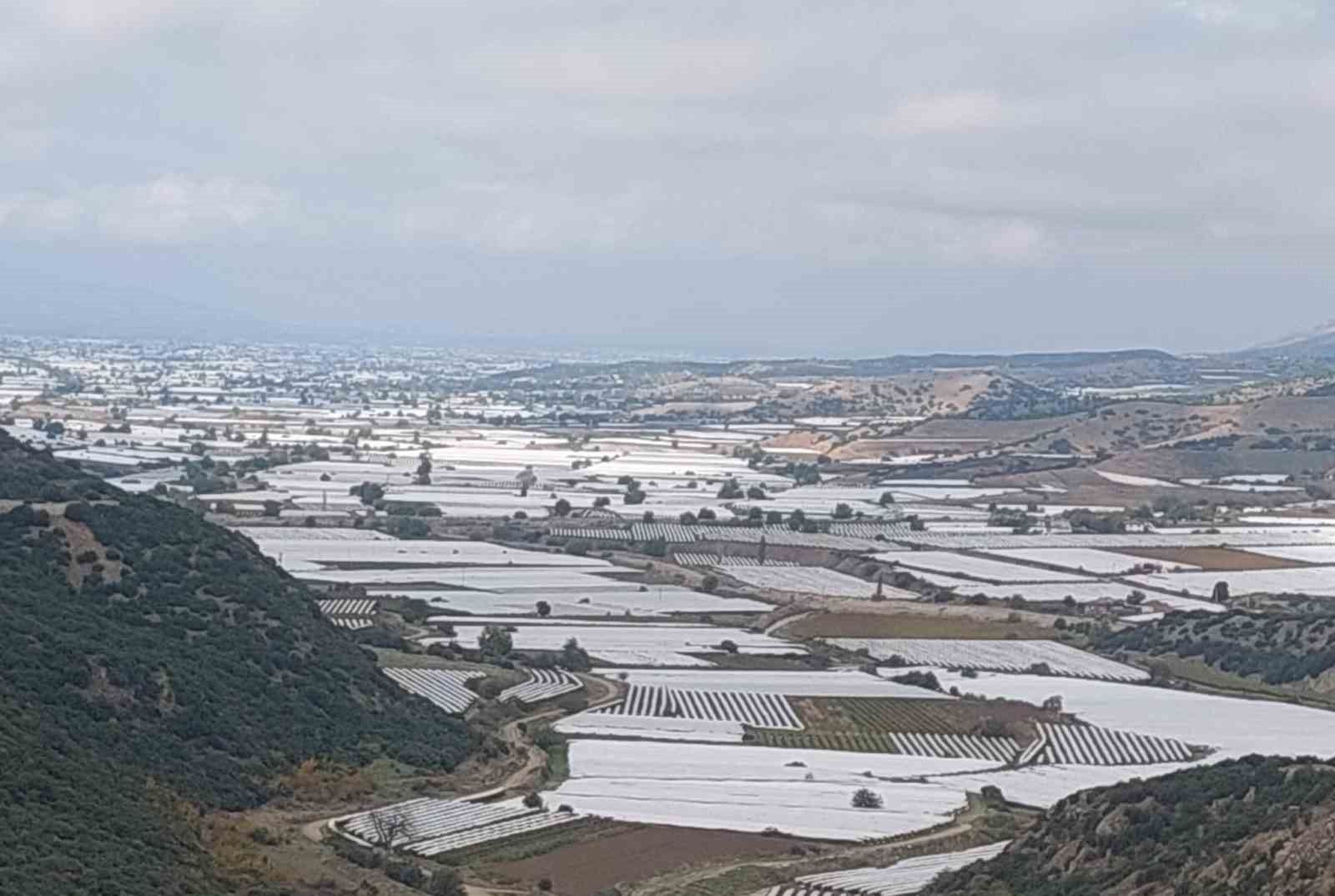 Sarıgöl'de binlerce ton üzüm örtü altında bekliyor